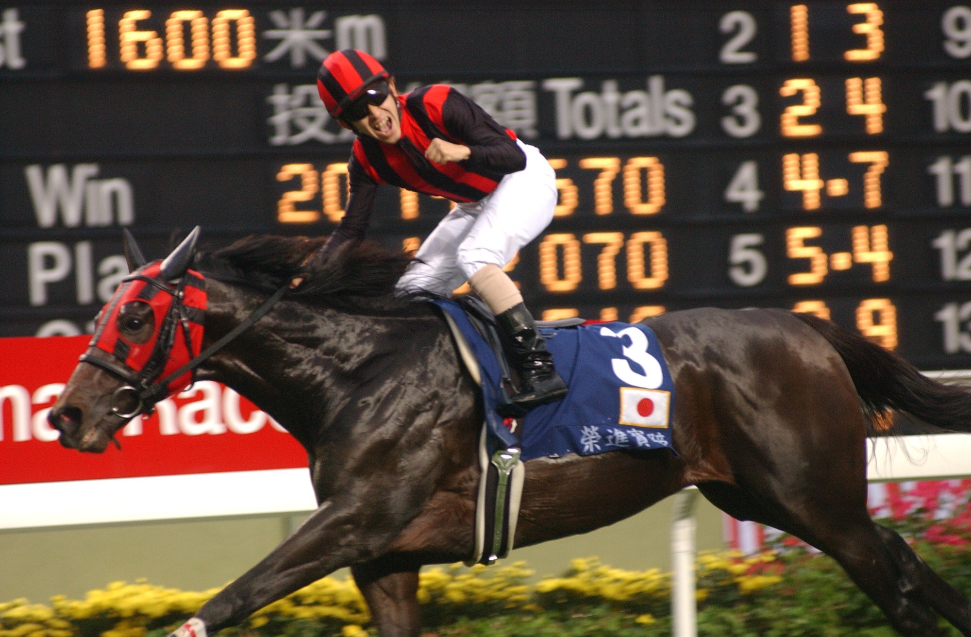 エイシンプレストン死す…28歳 香港クイーンエリザベスⅡC連覇などGⅠ4