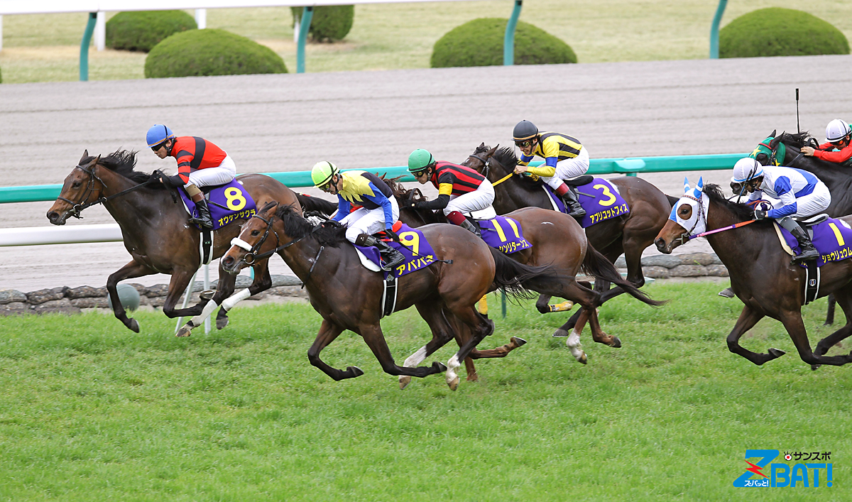 【アパパネ】全G I的中馬券セット(牝馬三冠馬券含む／全現地馬券) ZBAT写真館】アパパネ - サンスポZBAT!