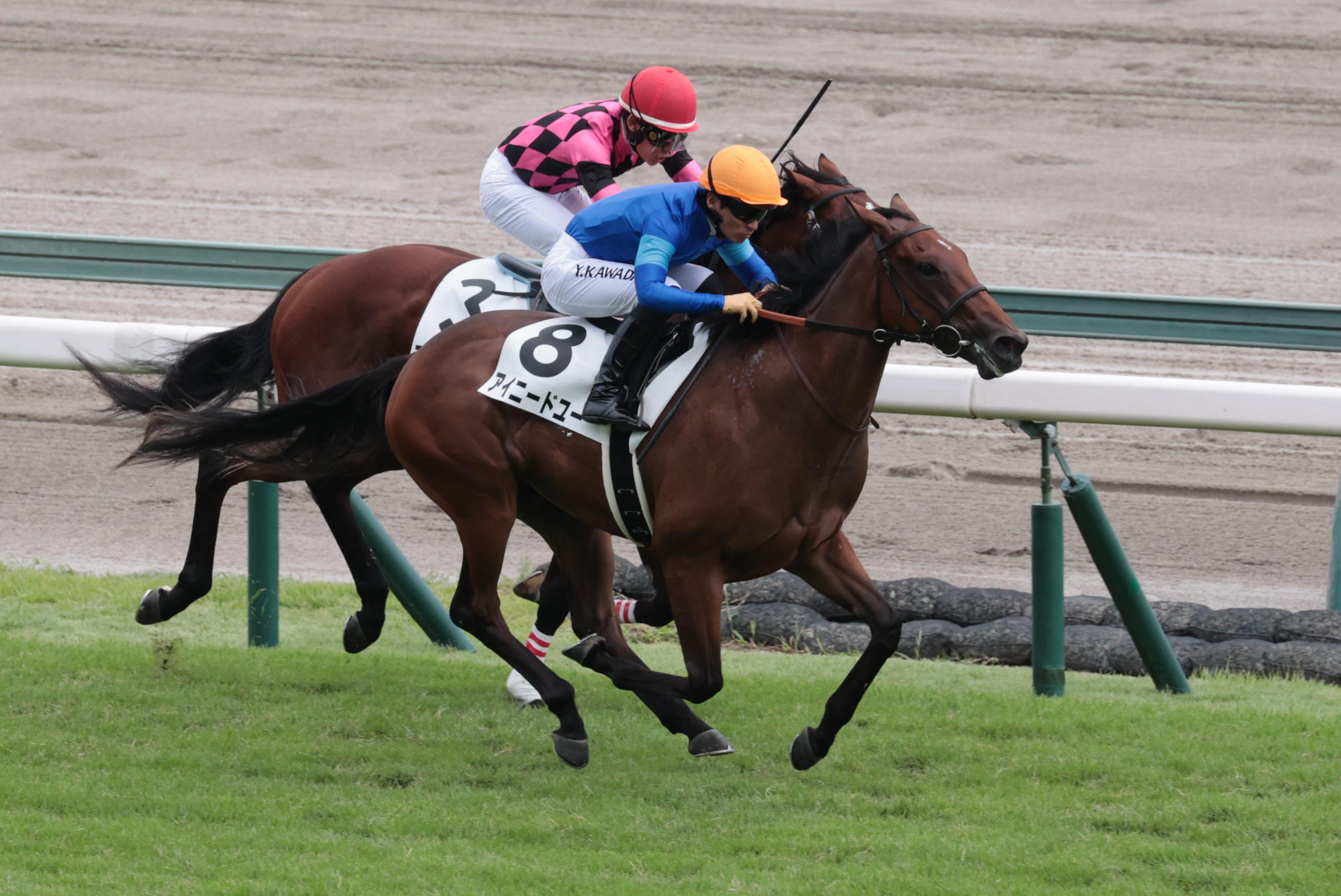 2歳新馬・中京4R】1番人気アイニードユー、2番手追走から