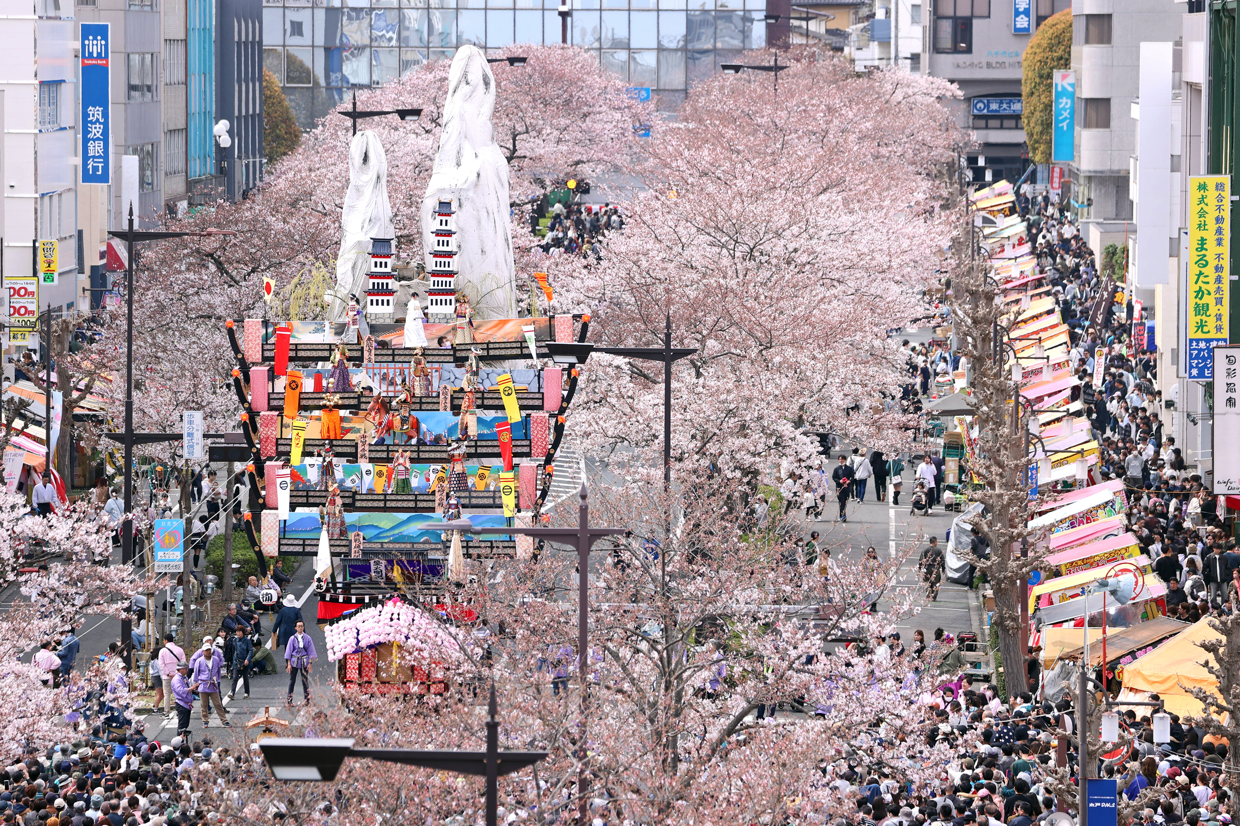 5年ぶり、郷土芸能「日立風流物」と桜が“競演” 桜便り2024 - 産経