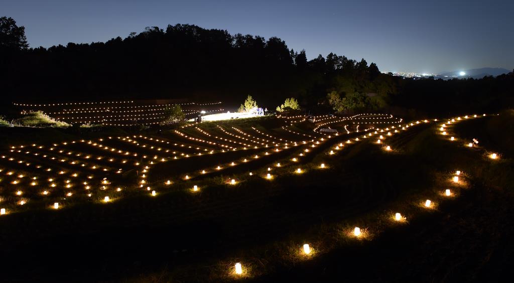 光の中の原風景 大阪 千早赤阪村で棚田ライトアップ イザ