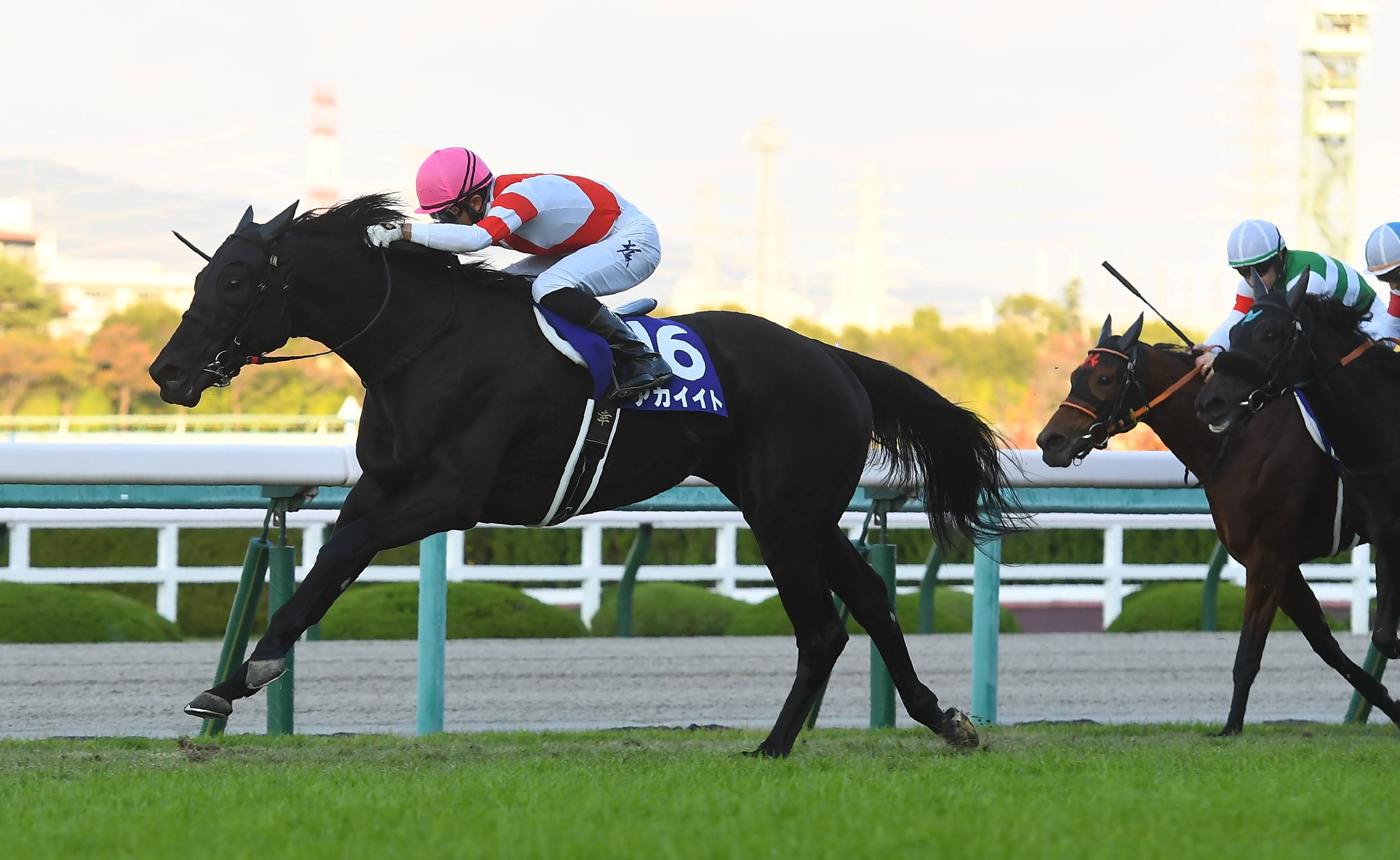 井崎脩五郎のおもしろ競馬学】エリザベス女王が愛した世界 - 産経ニュース