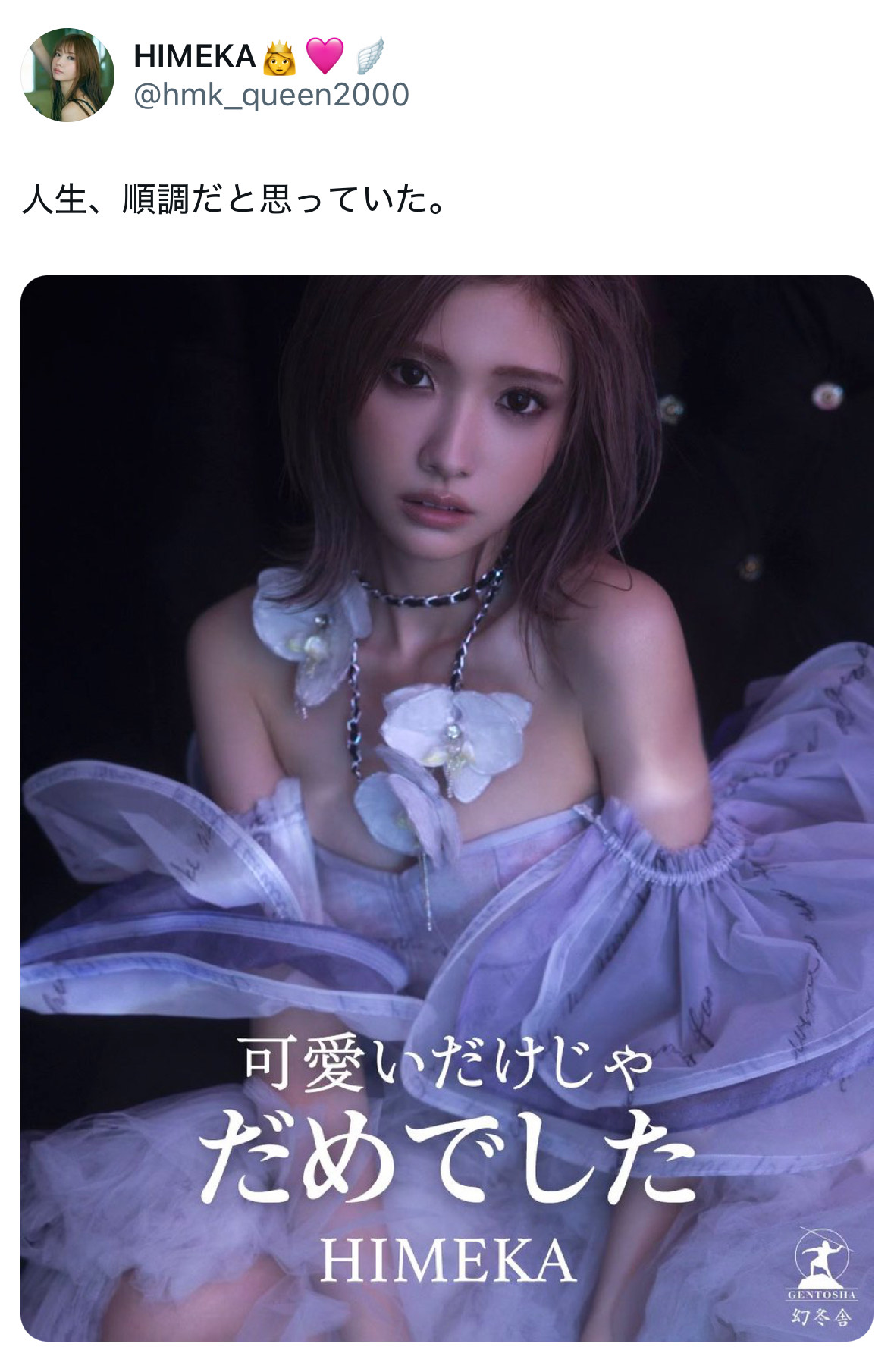 ひめか、元太客「かけるん」とのトラブル泥沼化 ヒカルの動画では潔白