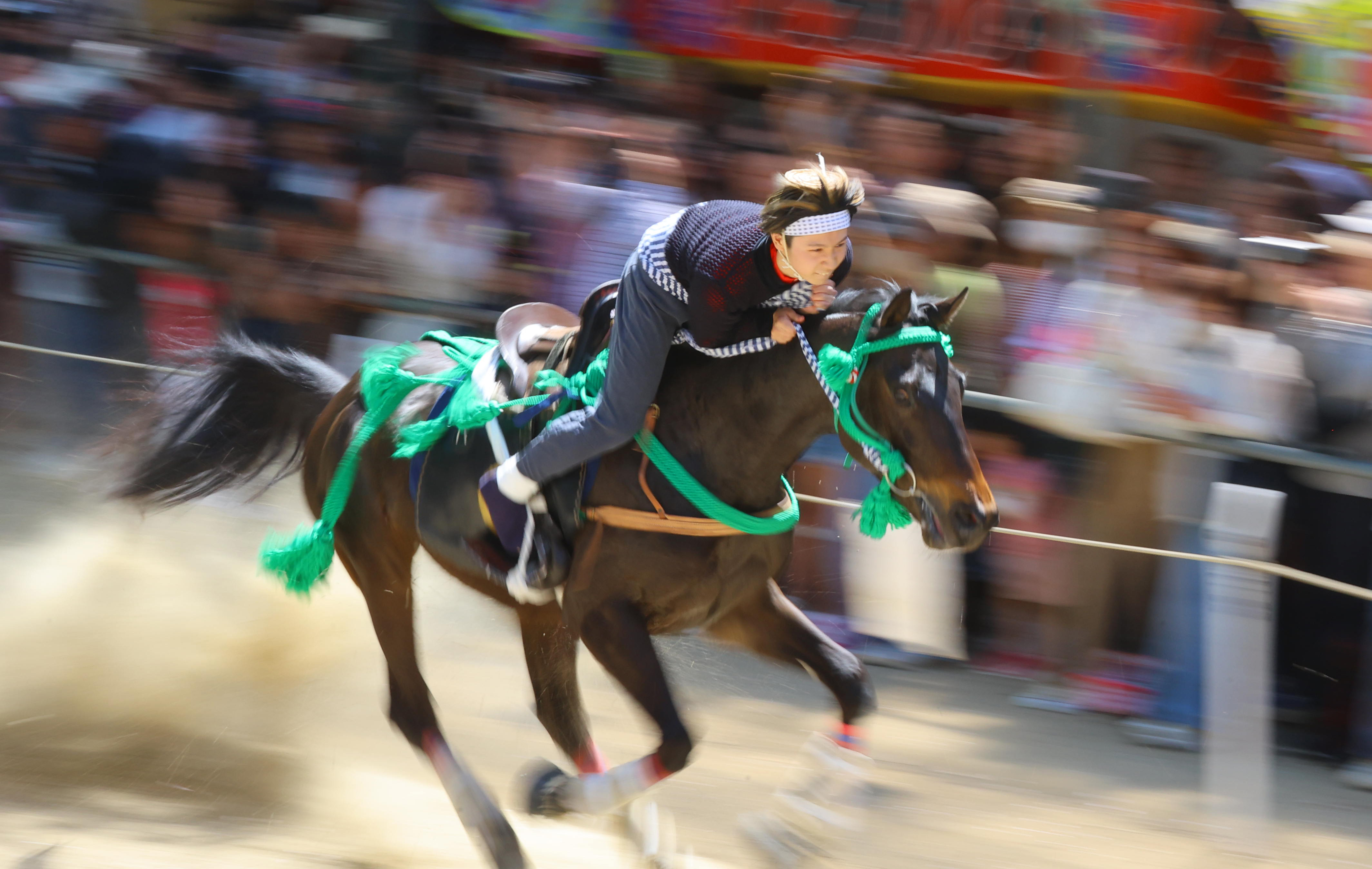 新緑まばゆく古都を駆ける馬たち 美しく映える人馬一体の伝統の技
