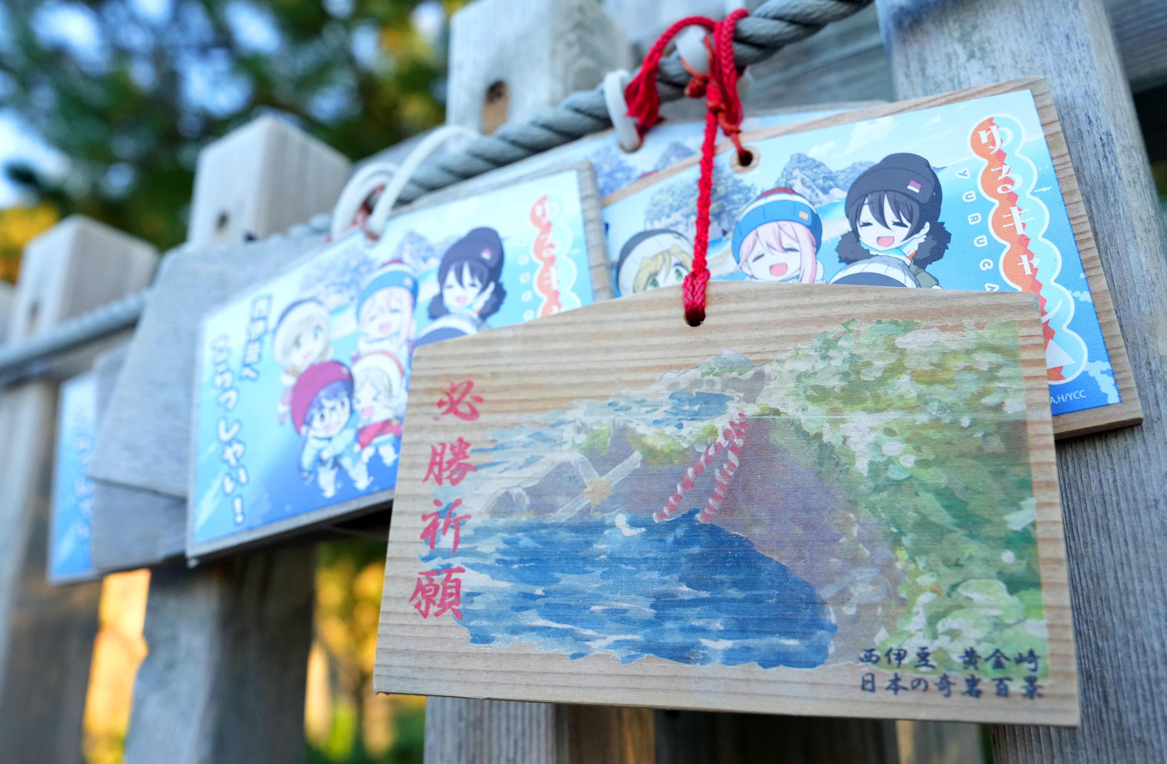 動画】新年「馬ロック」に願掛け 万馬券的中…展望台には競馬ファンの