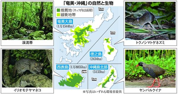 世界遺産に認められなかった 奄美 沖縄 初の敗北 環境省はどうする 1 4ページ 産経ニュース