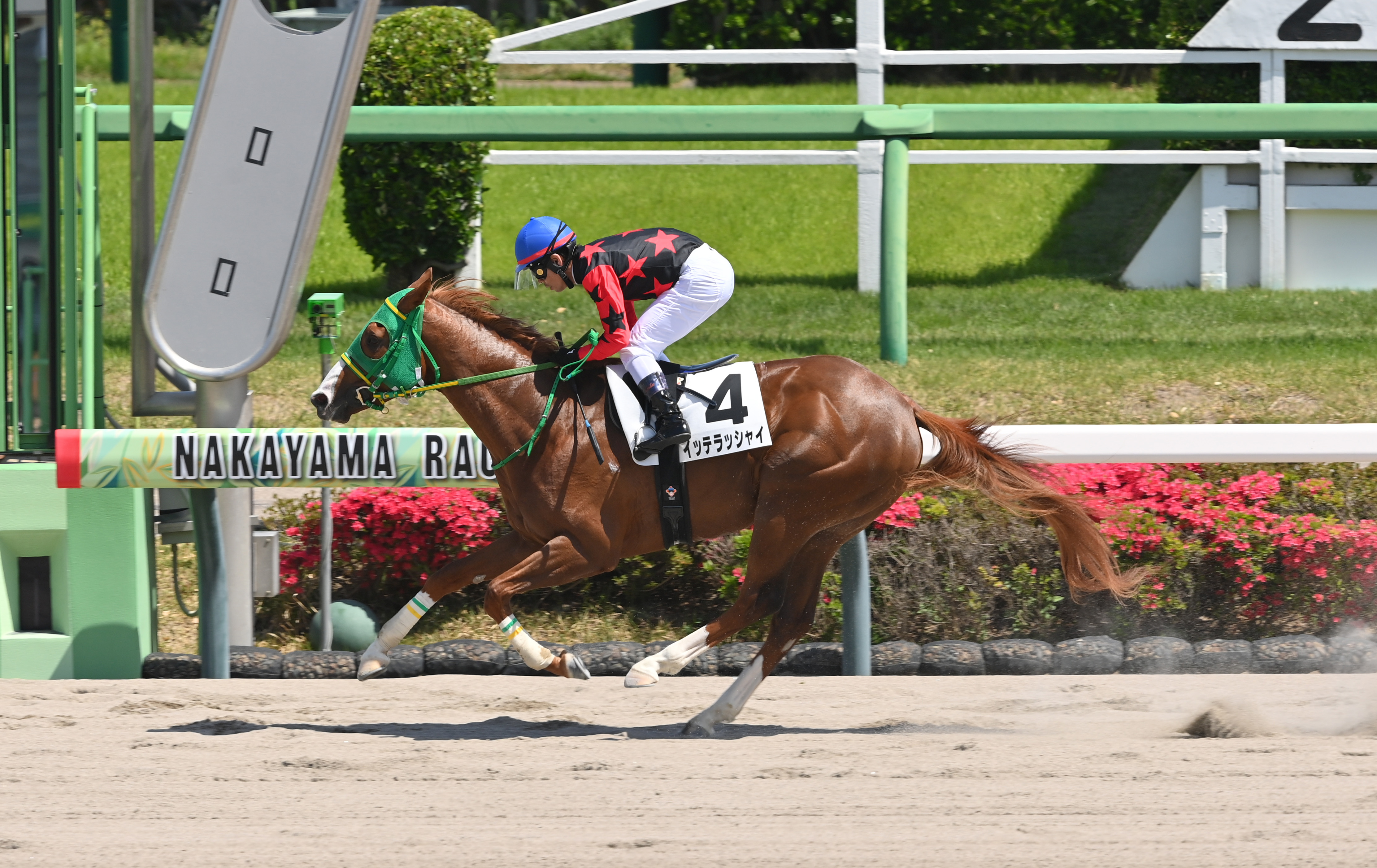 ホリエモン〟堀江貴文氏所有のイッテラッシャイが2勝目 「良かったです