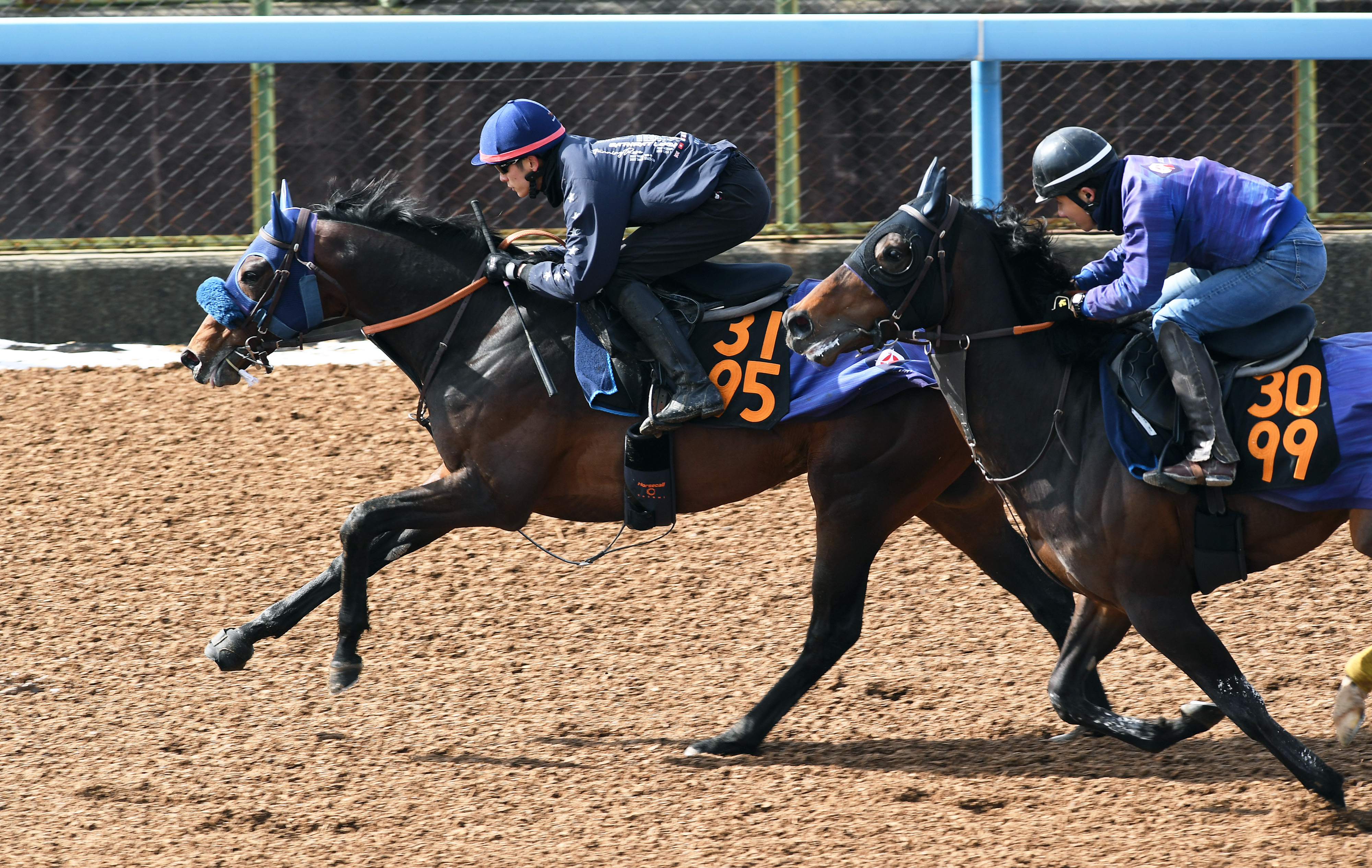 毎日杯 1週前追い切り】キングノジョーは坂井瑠星騎手を背に一番