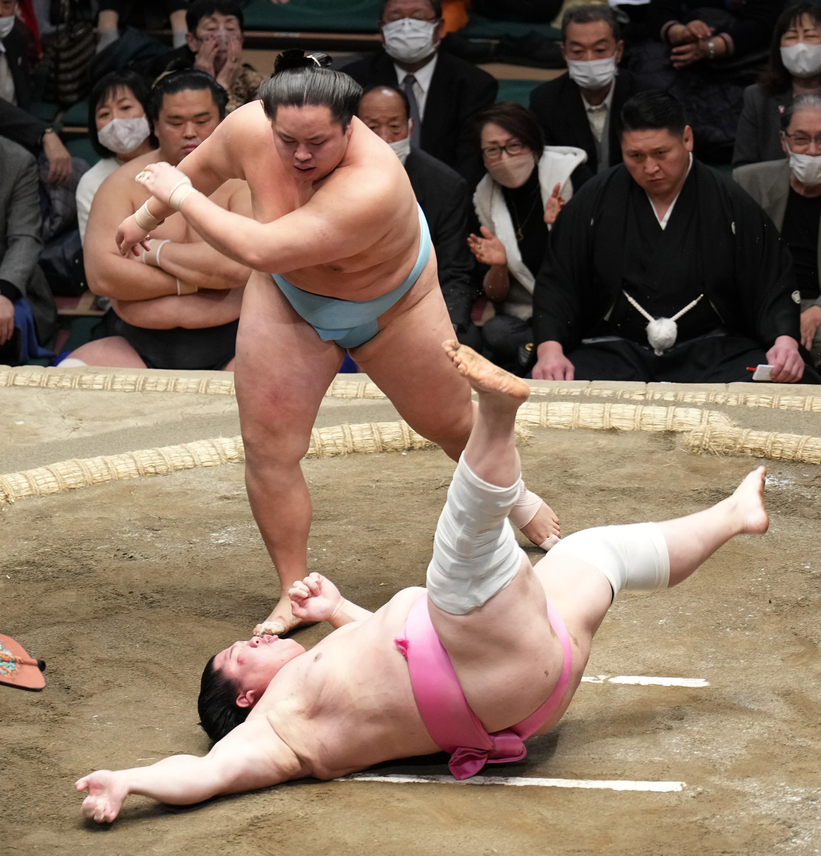 まめこです。琴勝峰 琴風氏「これはほんと兄弟でつかんだような優勝じゃないですか