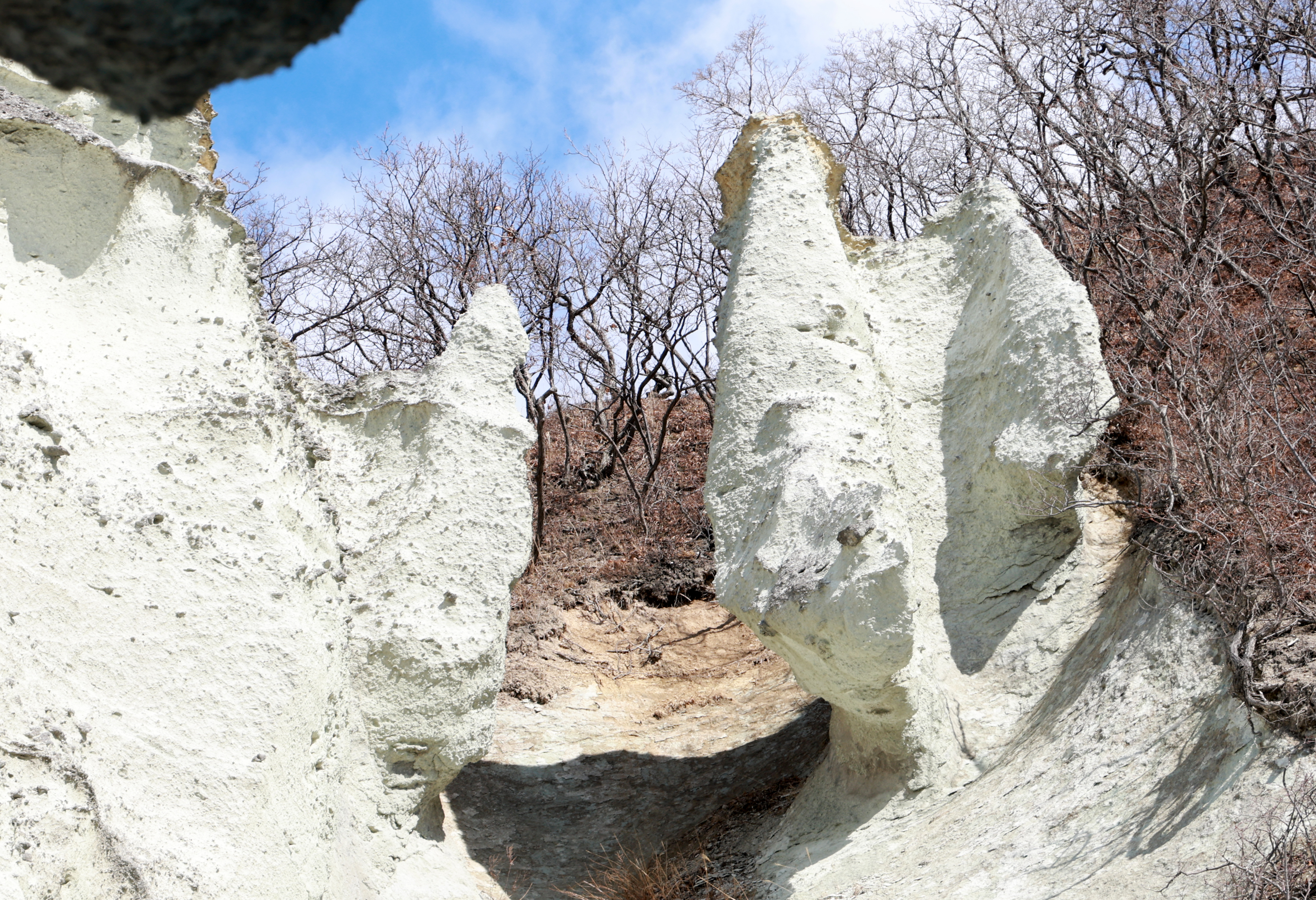 動画】津軽海峡の荒波が生んだ〝極楽浄土〟 奇岩が連なる秘境「仏ケ浦