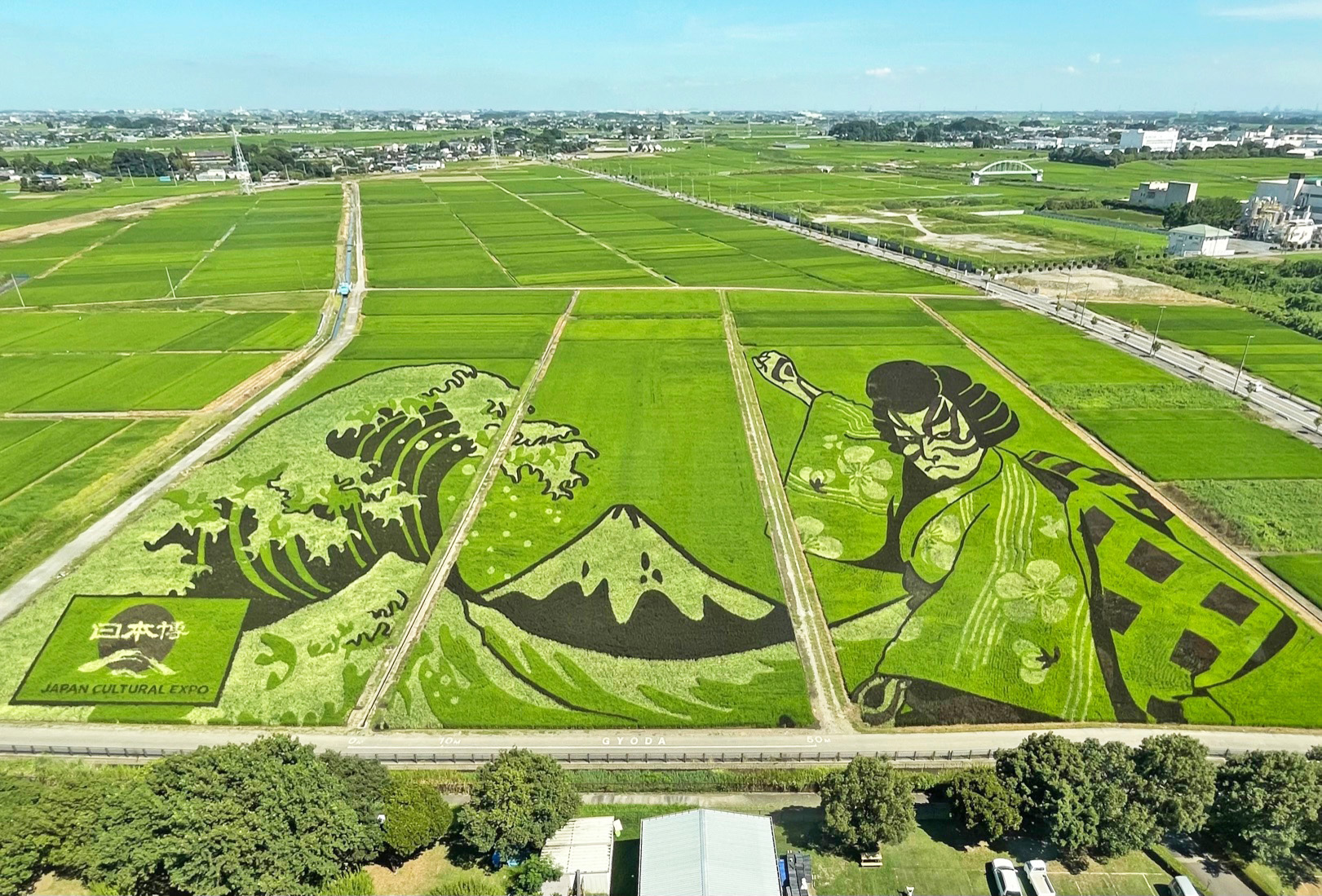 田んぼページ ギネス認定「世界最大の田んぼアート」見頃 埼玉 - 産経ニュース