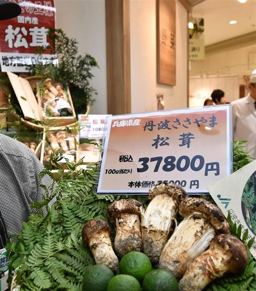 世界を読む】韓国報道、日本に先駆けマツタケ人工栽培「成功」…市場は