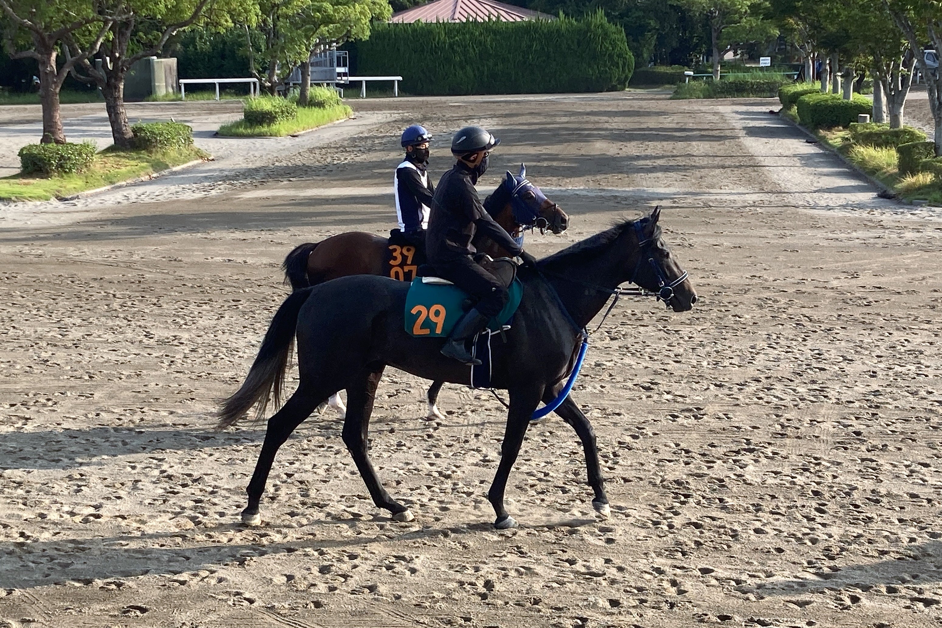 新潟2歳S 金曜調整】リアライズシリウスは坂路でキャンター 手塚貴久