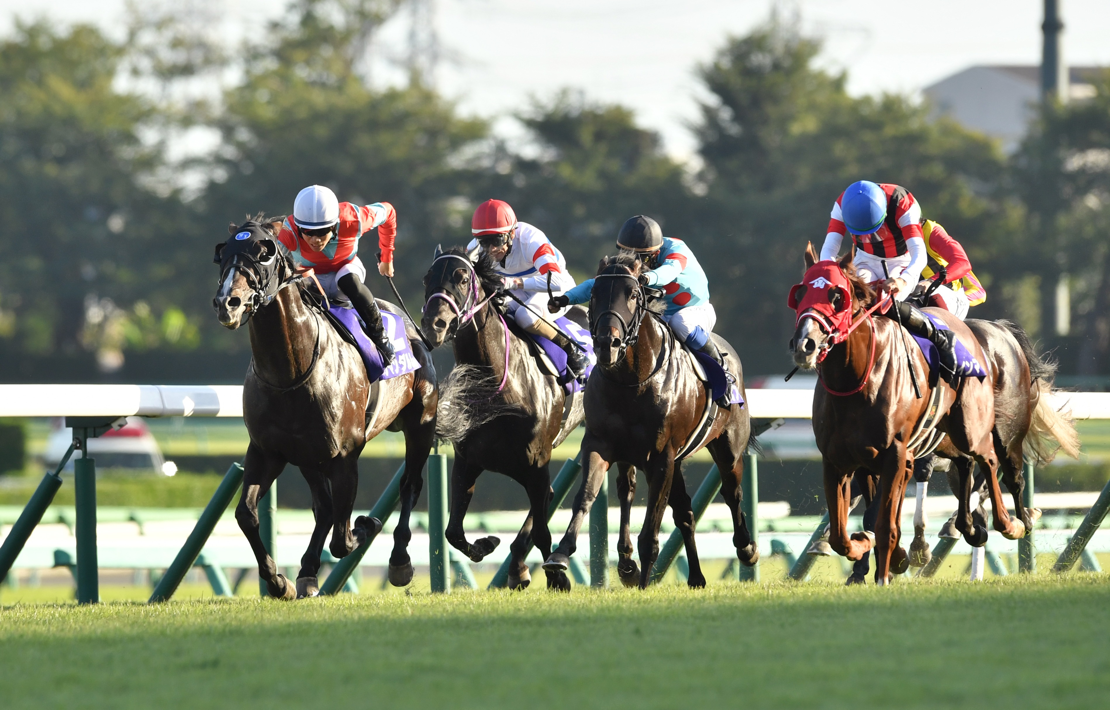 スプリンターズｓ 人馬ともにｇ 初勝利 ７歳馬ジャンダルムがレース史上初の母子制覇 サンスポzbat