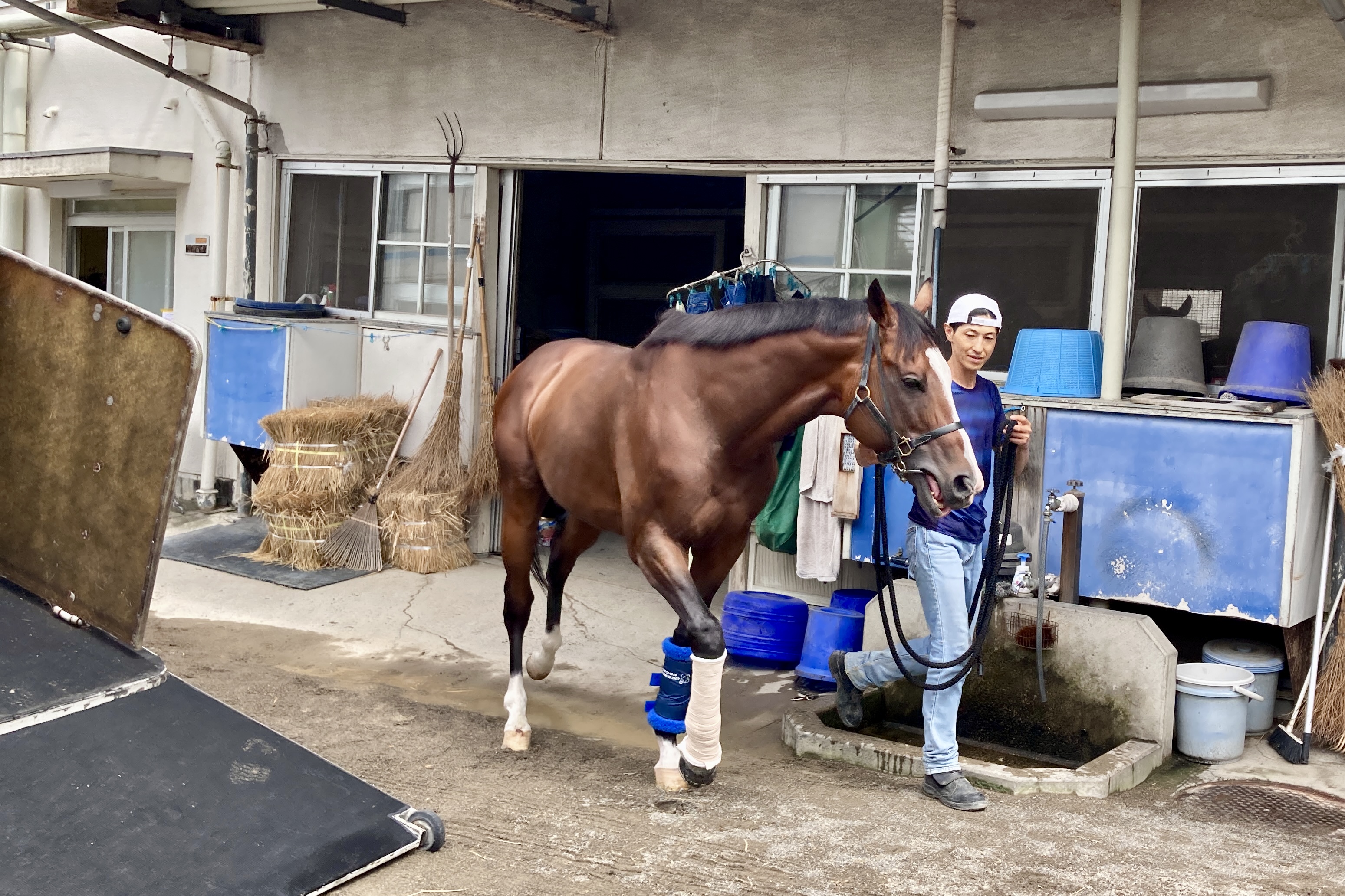 【中古】 競馬◎（本命）はこう打つ 「日刊ゲンダイ」レース部部長が明かす/日本文芸社/鈴木和幸 78歳314日・鈴木章夫(浜松2期)が公営競技最年長勝利記録を自ら