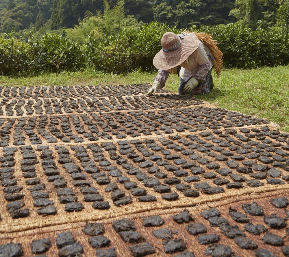 送料無料　江戸時代　豊楽焼『豊助』銘　瓦形茶量　茶道具　本物保証　★大珍品★ 江戸時代から受け継ぐ「碁石茶」 製造技術が重要無形民俗文化財に