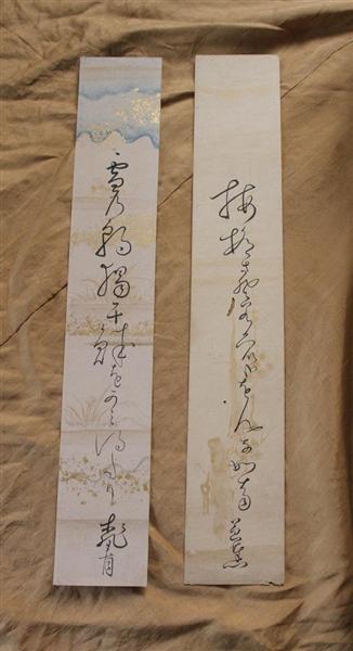 芭蕉の謎も解明！？ 江戸時代の俳句８０４点を収めた「誹諧短冊手鑑」 奈良大名誉教授が発見、資料集を出版（1/2ページ） - 産経ニュース