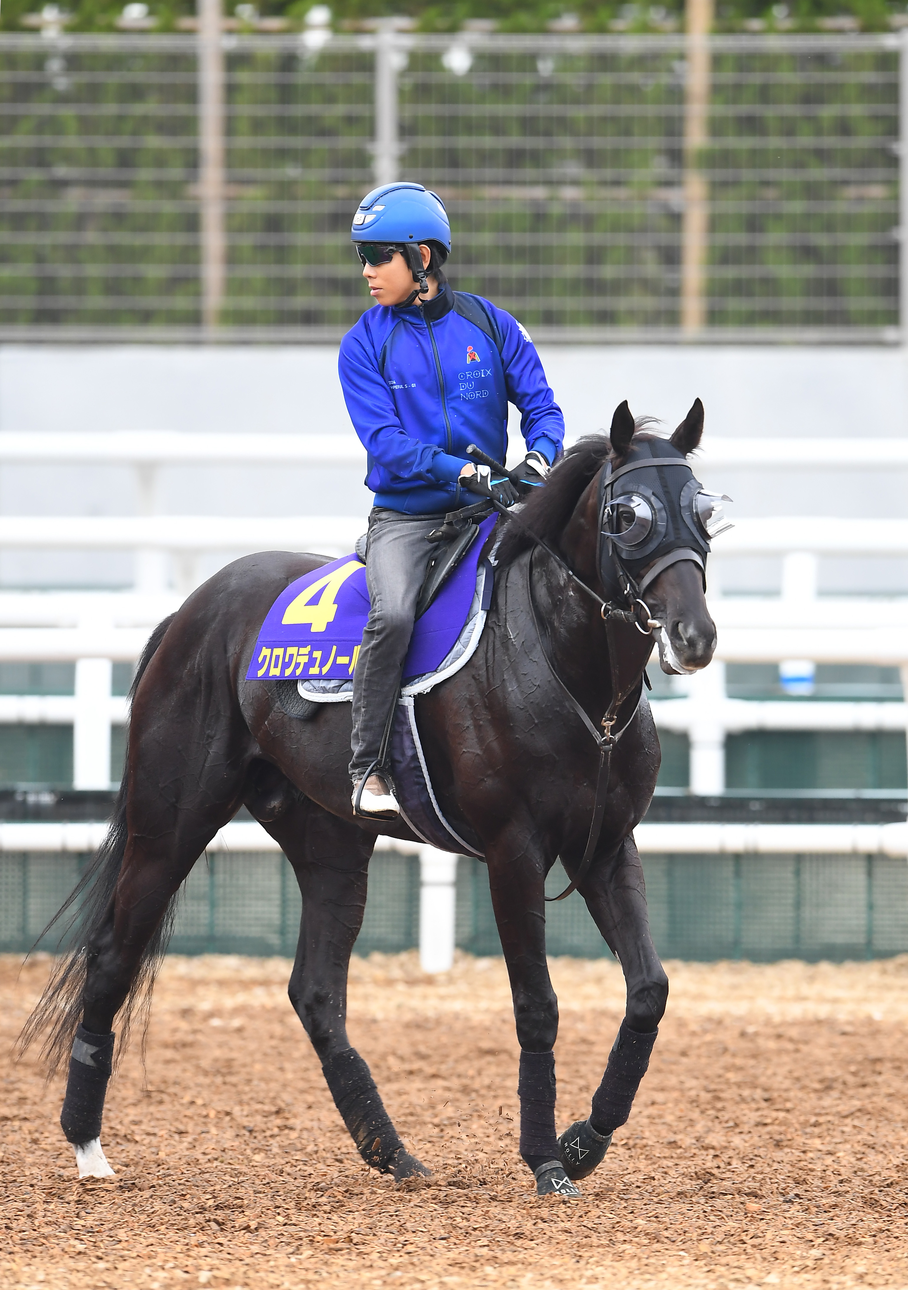日本ダービー われかく戦う】リベンジを狙うクロワデュノール・北村友