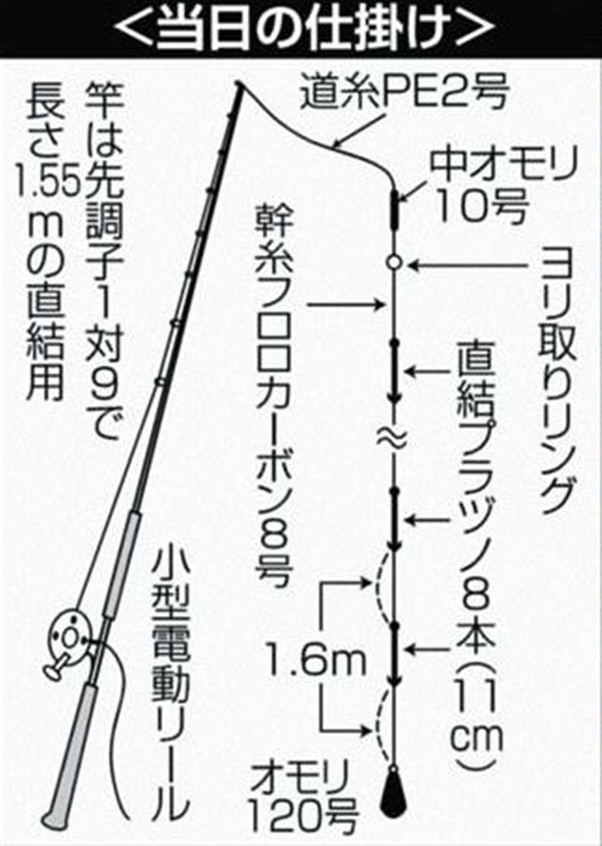 ヤリイカ開幕 トップ３０ ４０尾 三浦半島 城ケ島東沖 1 2ページ サンスポ