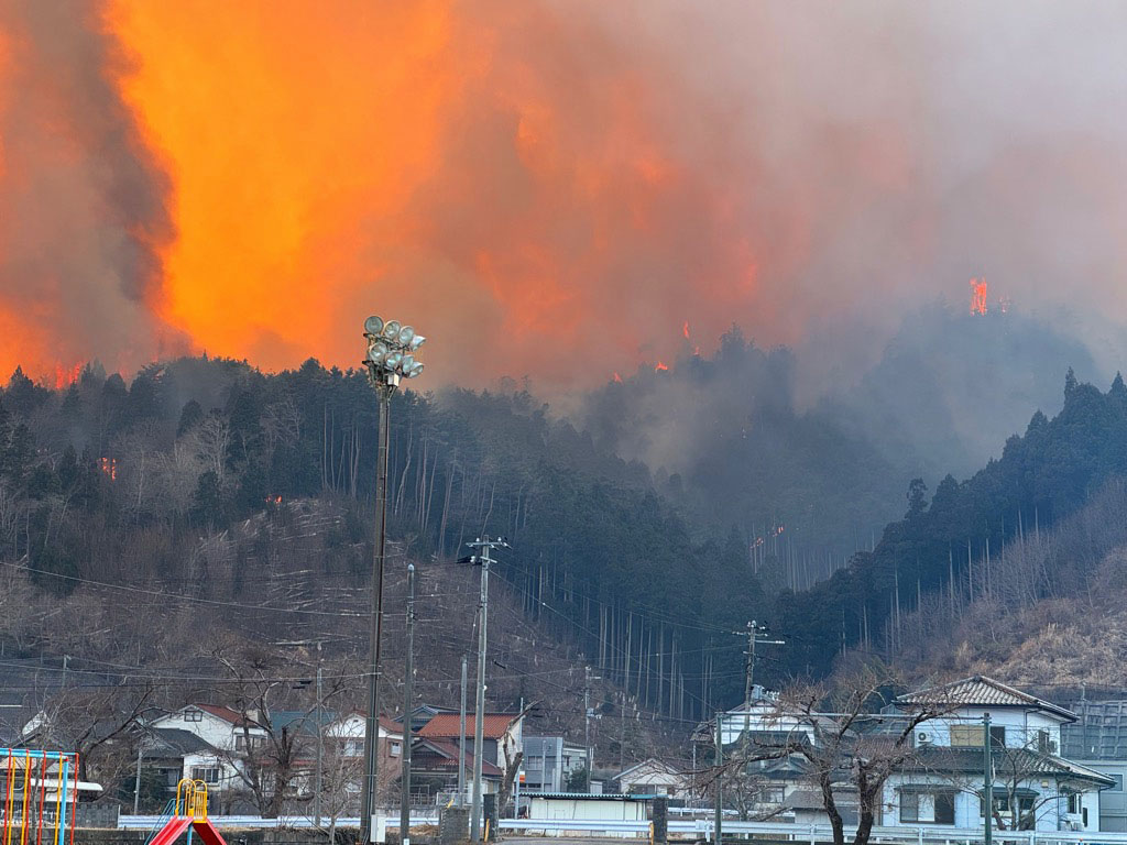 大船渡 市 山林 火災