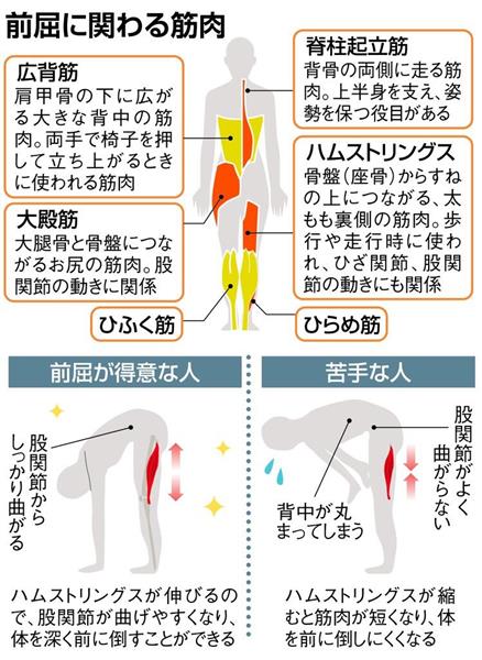 開脚 の前に 前屈 を 手軽に柔軟性高め正しい姿勢に 2 3ページ 産経ニュース