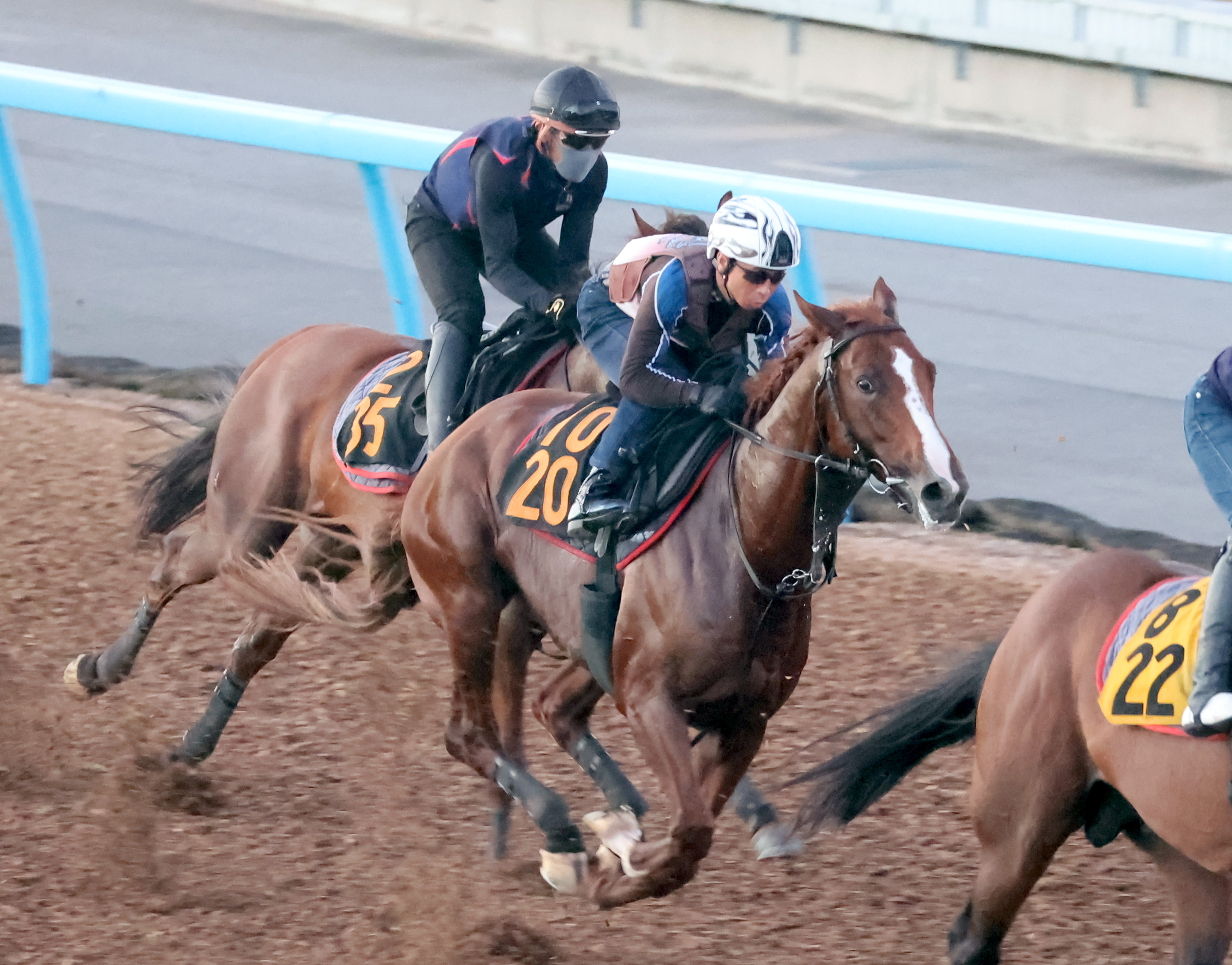 【データで勝負】日曜小倉１１Ｒ・小倉２歳Ｓ