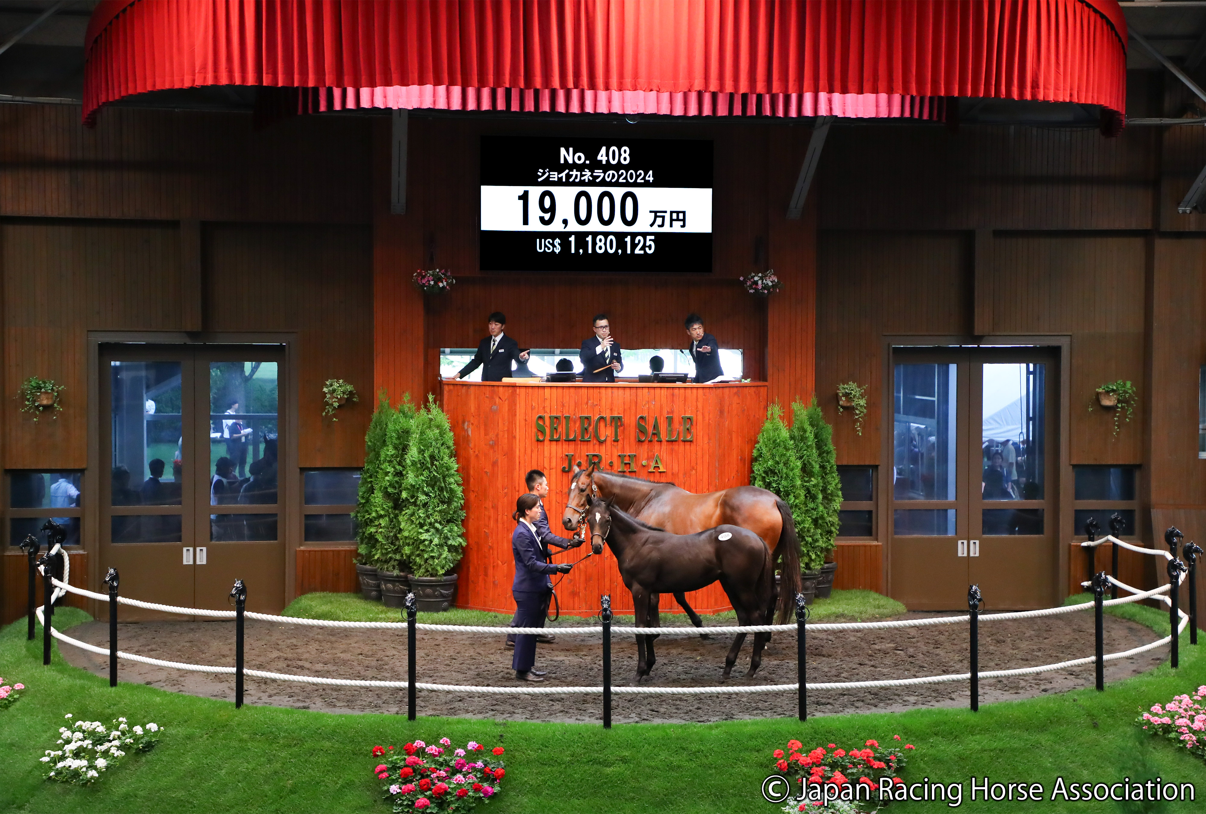 セレクトセール2024】藤田晋氏が父コントレイルの牡馬を1億
