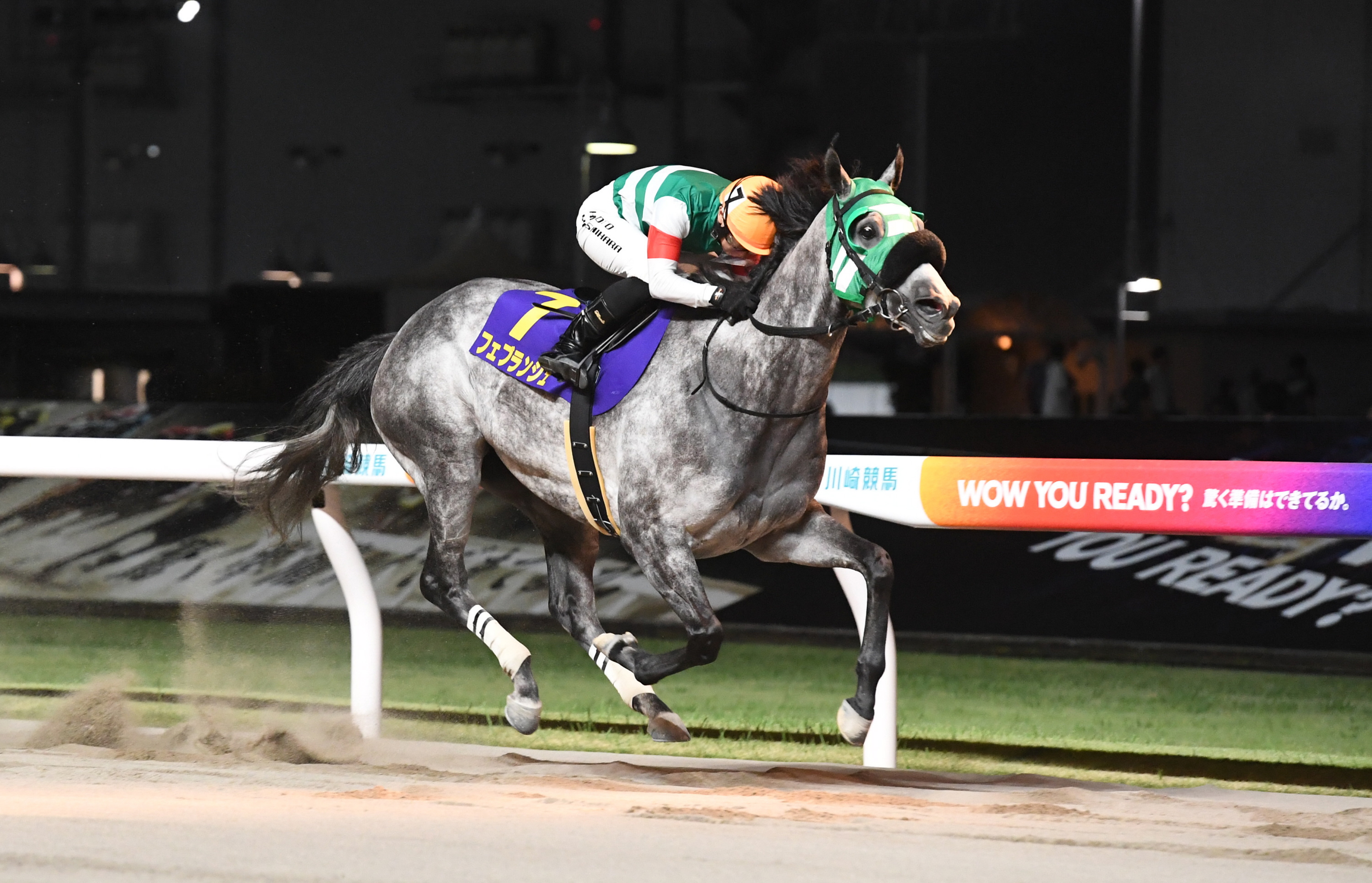 NARグランプリ2025で4歳以上最優秀牝馬に輝いた大井のフェブランシェが
