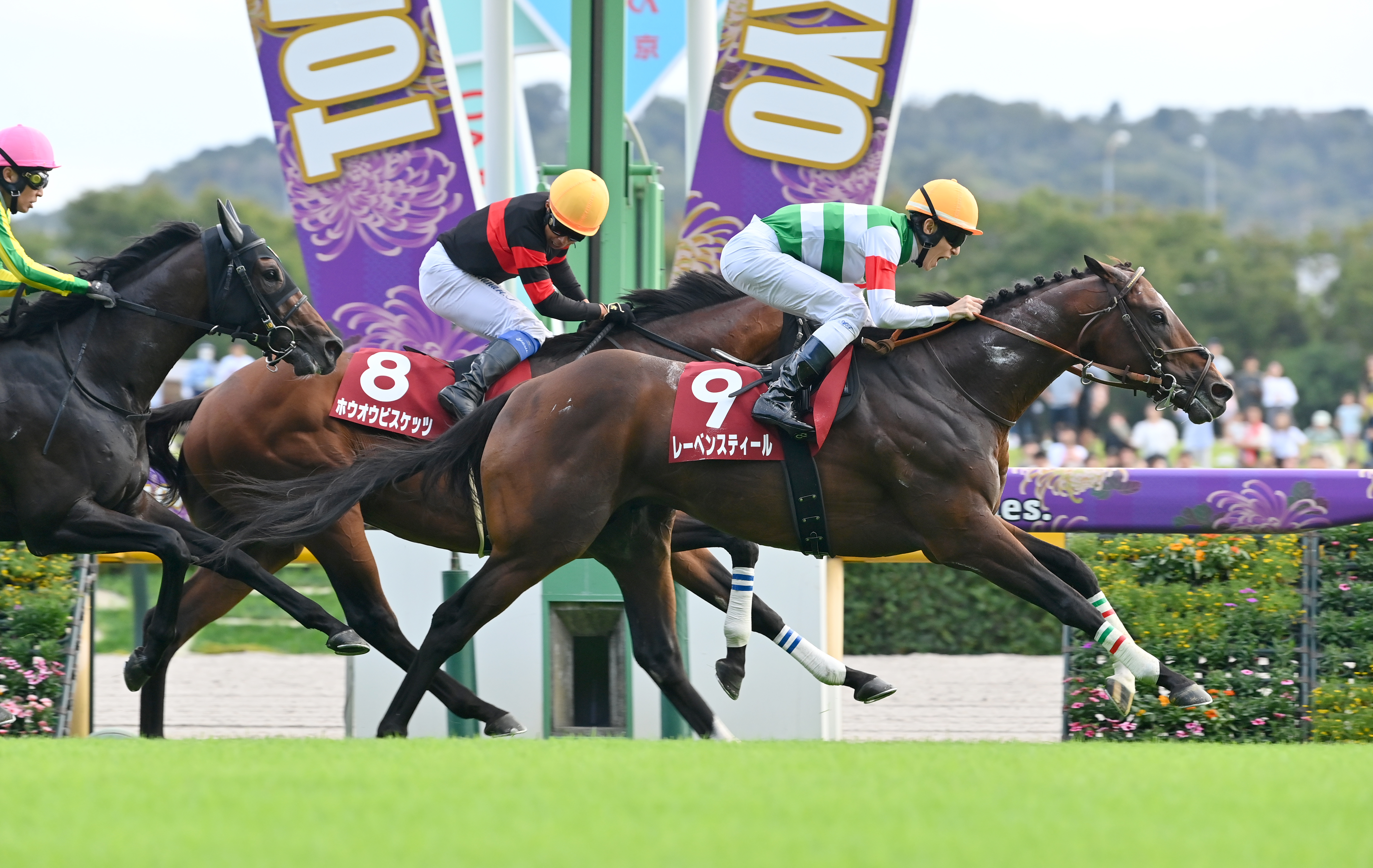 毎日王冠】5番人気レーベンスティール、レースレコードで重賞4勝目