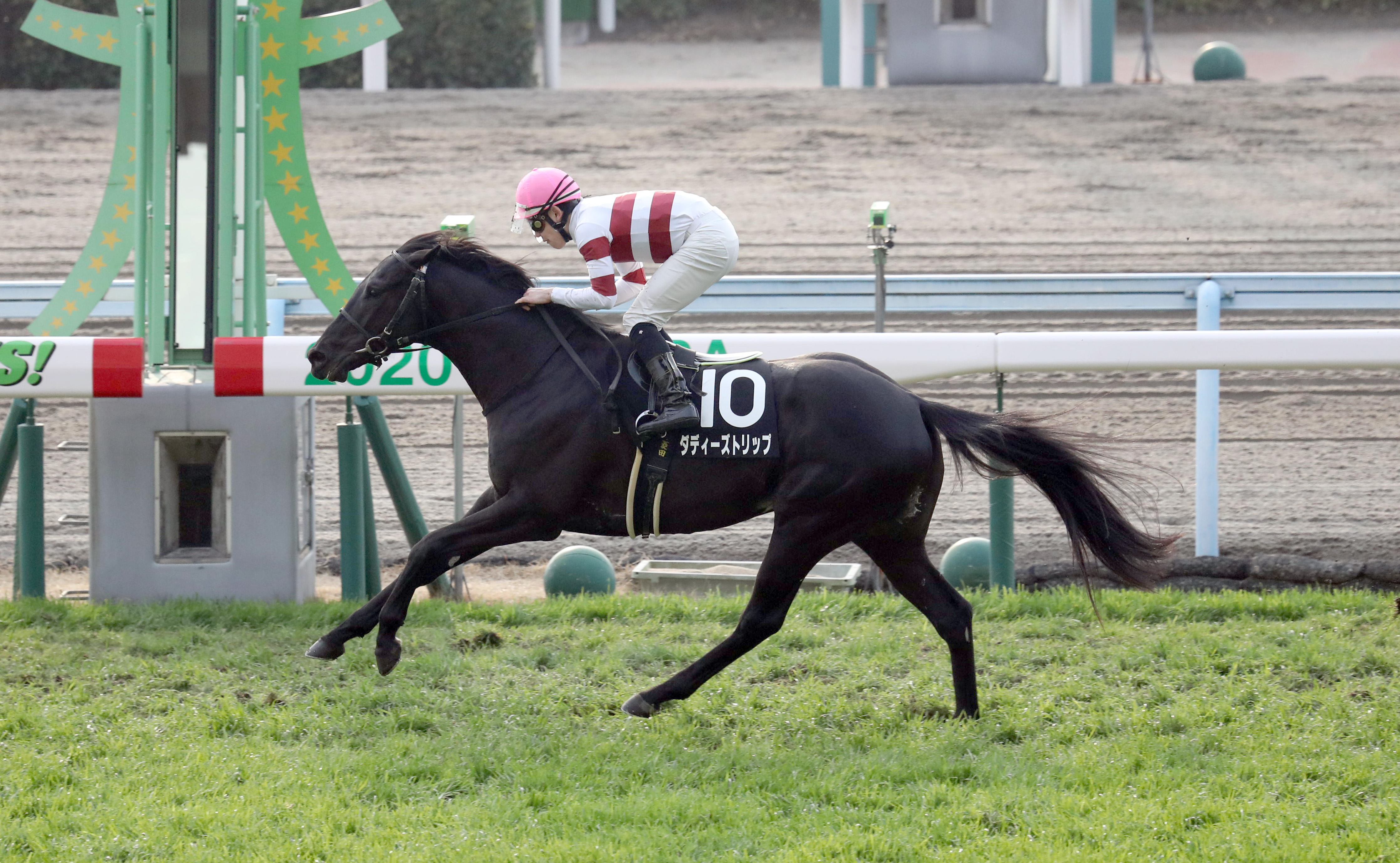 東西記者 今週の狙い馬】10歳でも末脚に衰えなし 一発あるぞダディーズ