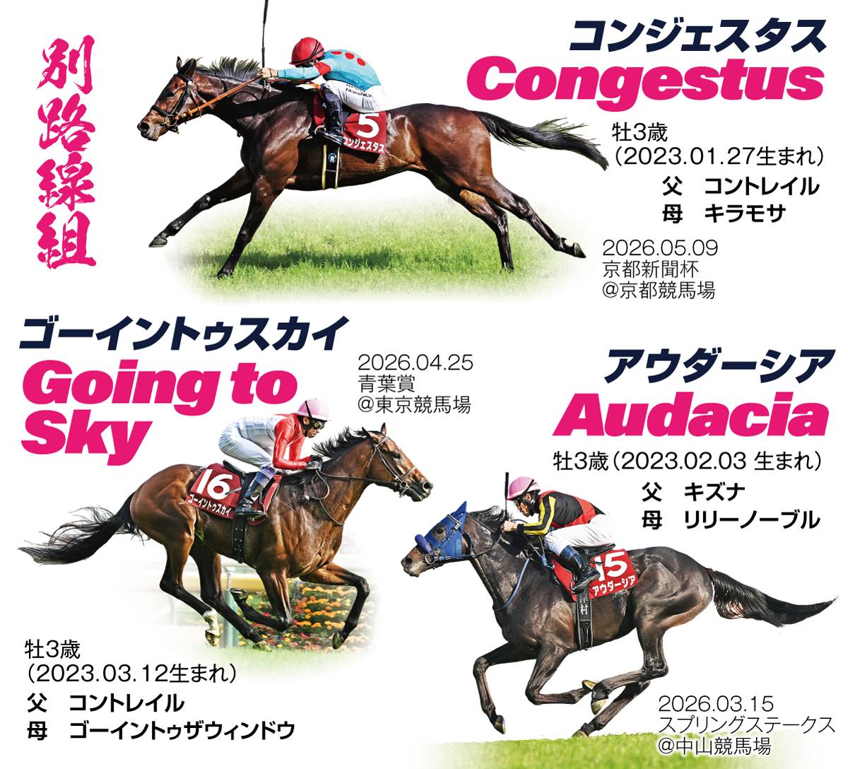 ロブチェン、史上25頭目の春クラシック2冠なるか きょう午後第93回日本