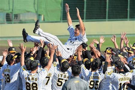 阪神 矢野監督 横田引退試合で涙 俺も頑張ってるという姿を見せていく 1 2ページ サンスポ