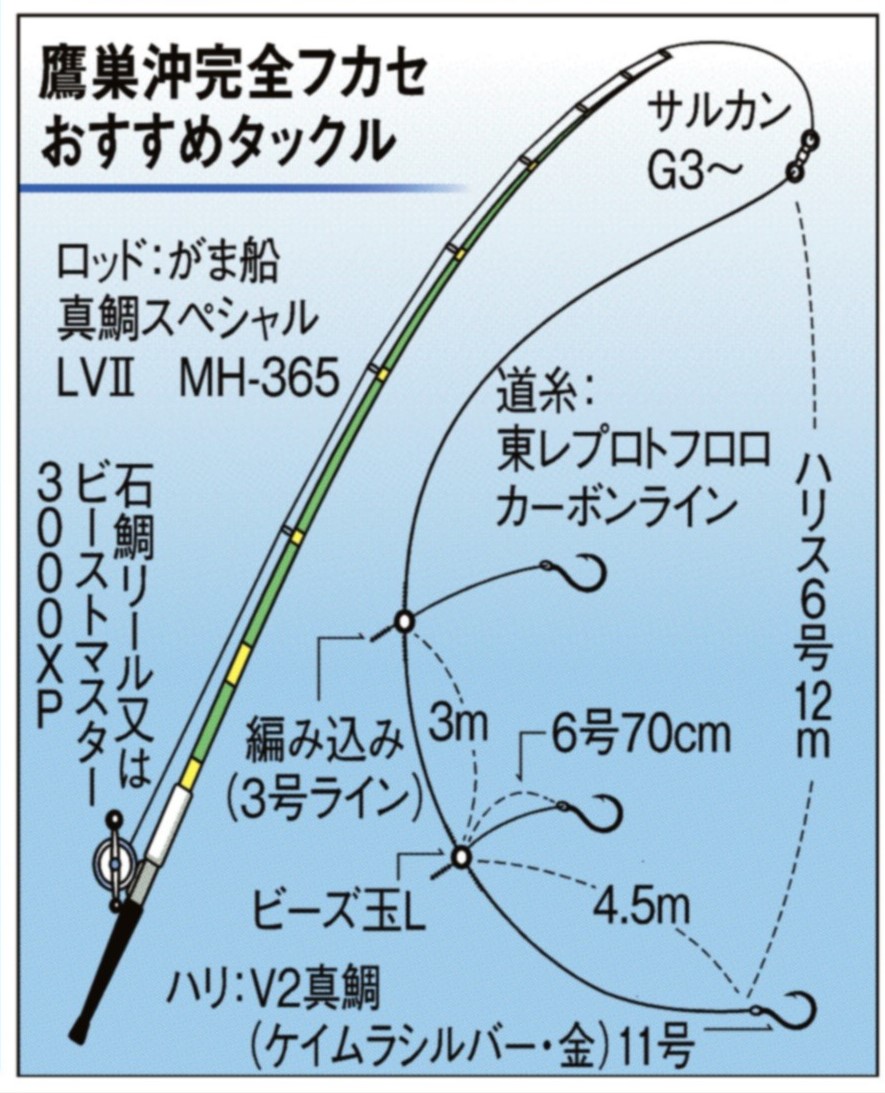 マダイ イサギｗ連発 追い食わせテーマに 関西フィッシング サンスポ