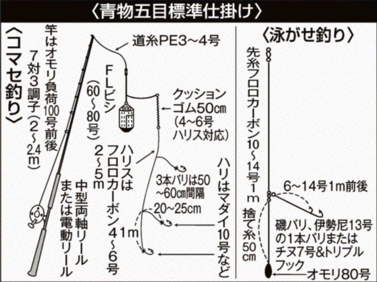 ワラサからハタまで青物五目 サイクルヒットだ 外房 小湊沖 サンスポ