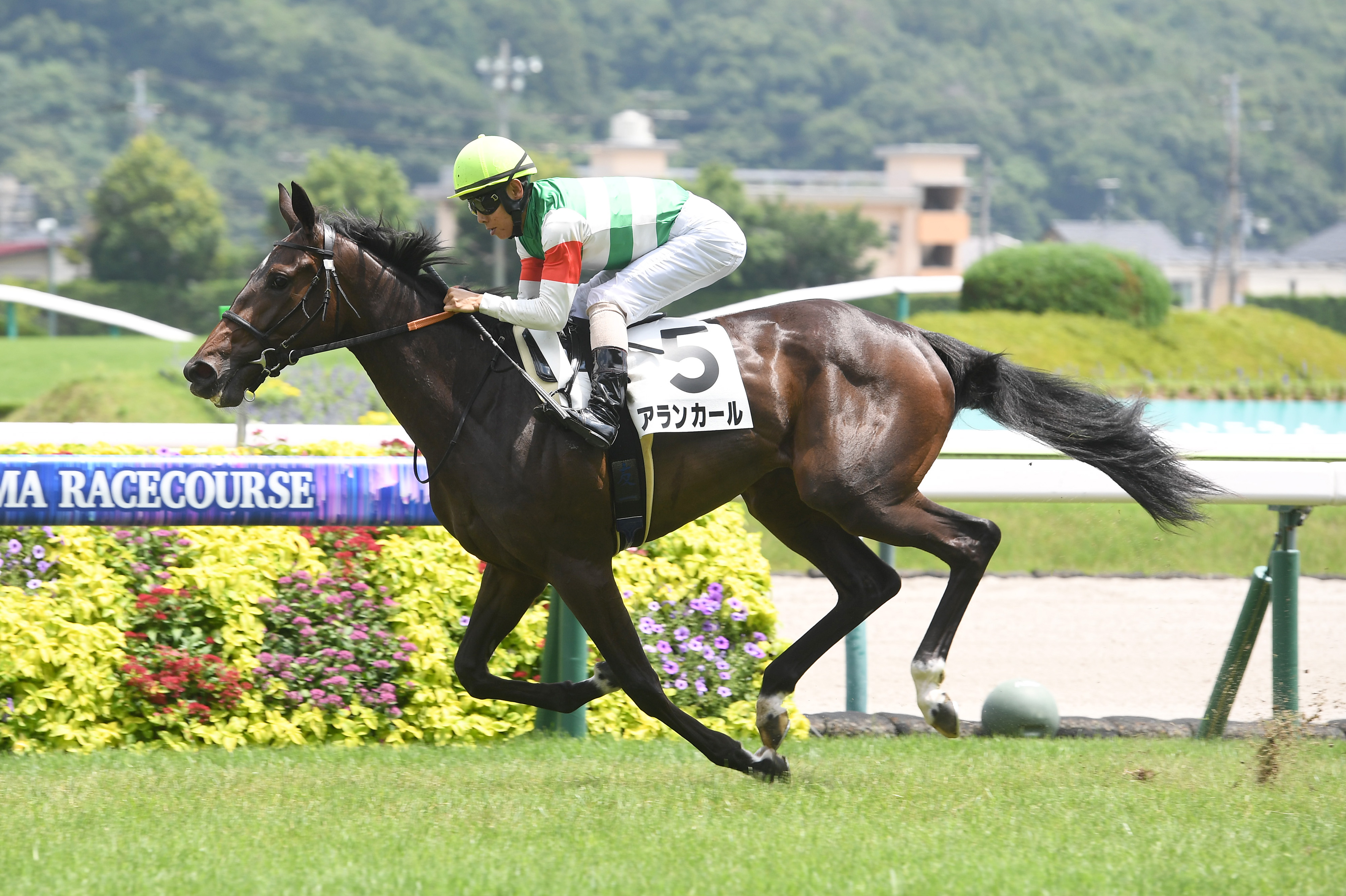 虹馬 2歳新馬・福島5R】アランカールが圧巻の4馬身差V！母はオークス