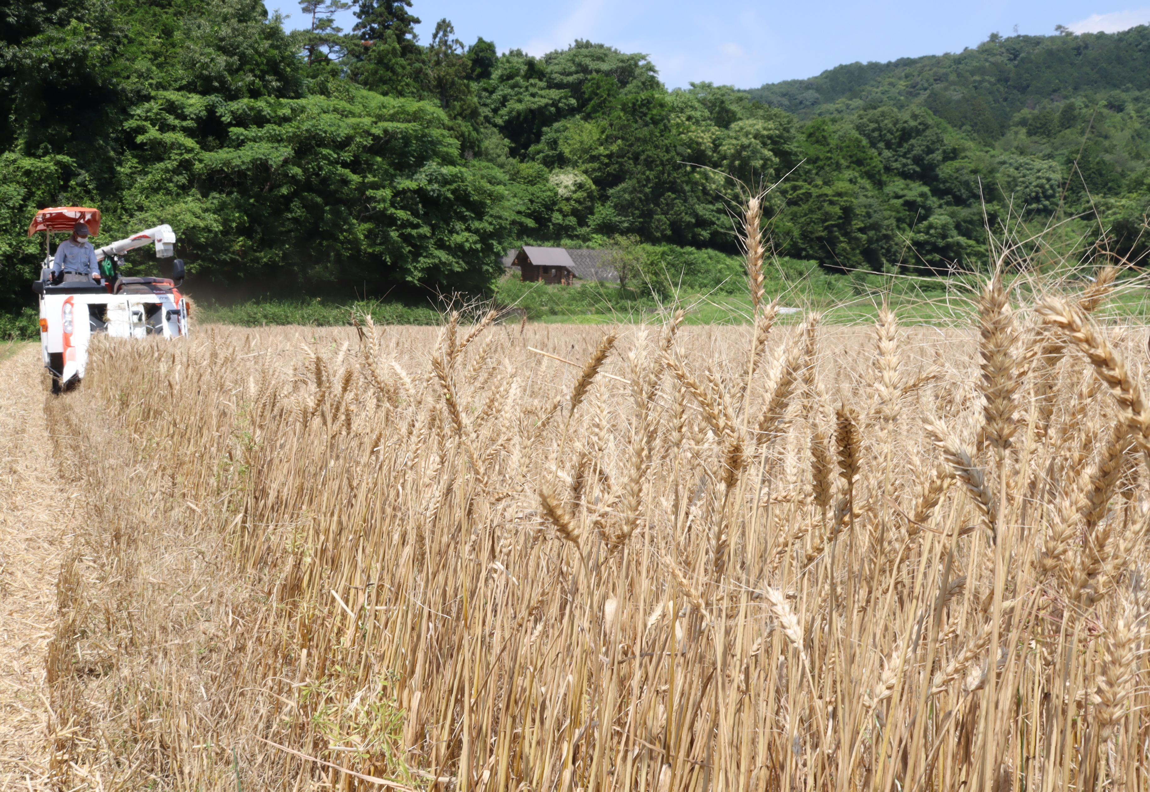 高田 祐樹 産経ニュース