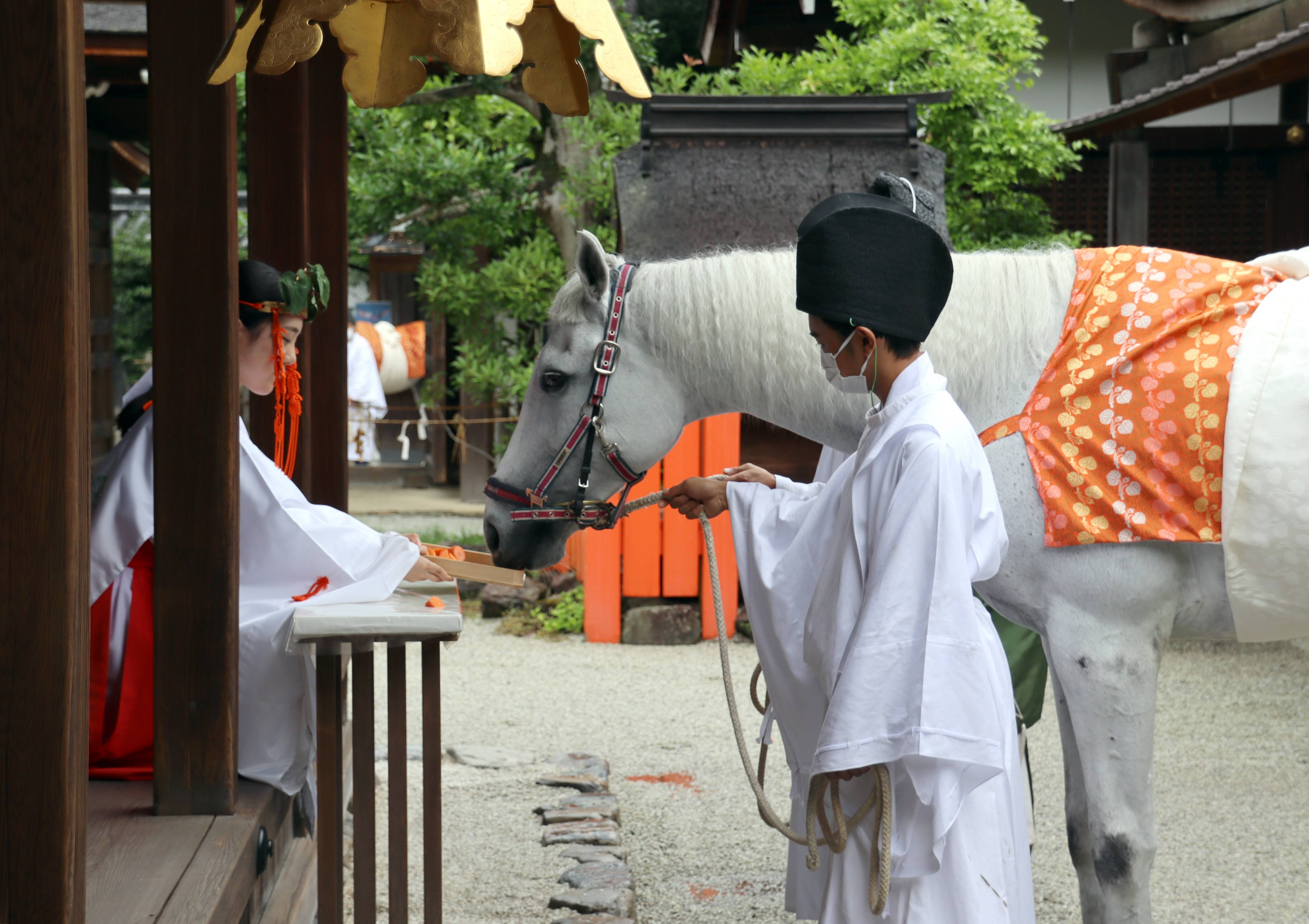 上賀茂神社で１０年ぶりに神馬の交代 産経ニュース