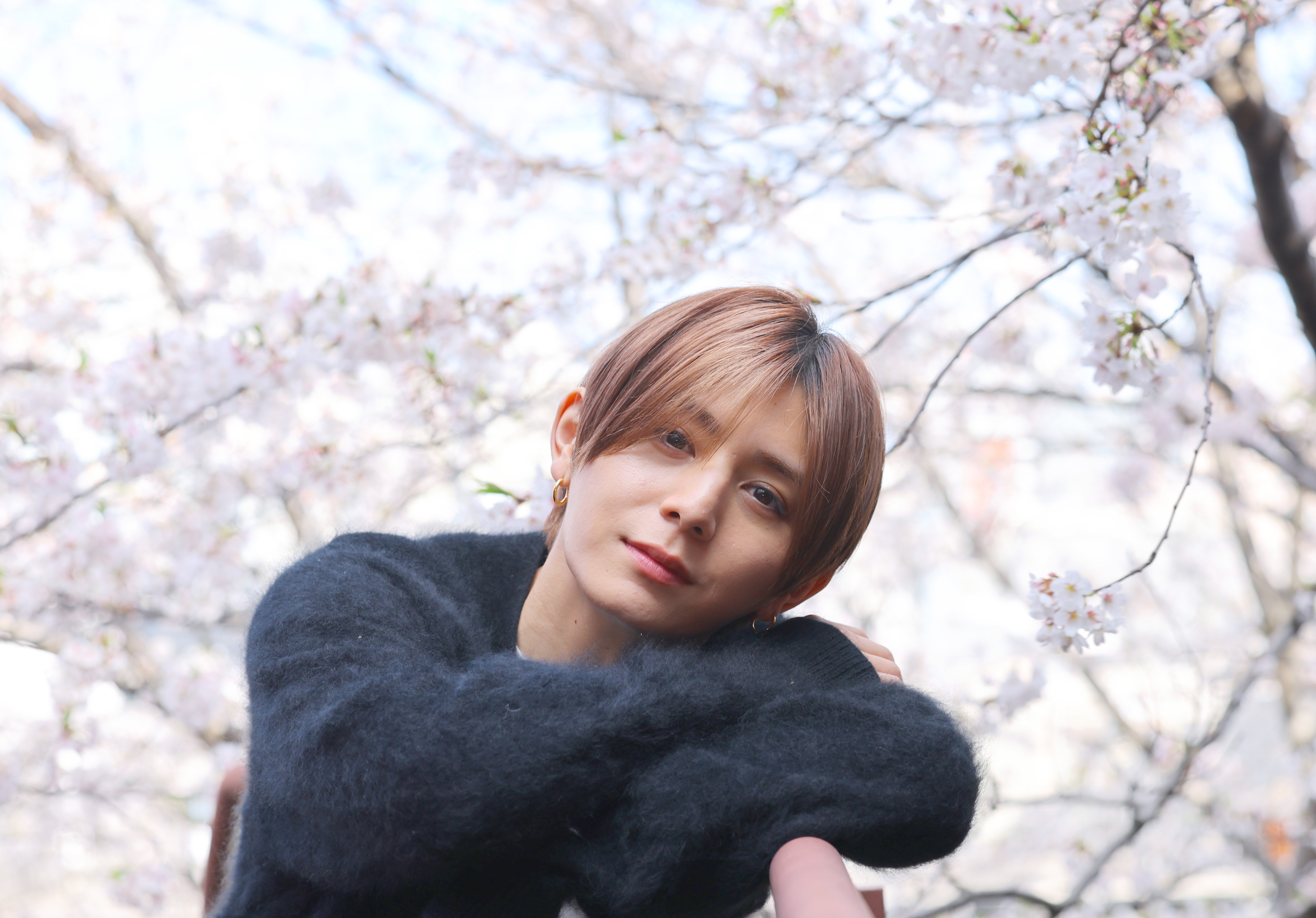 山田涼介　公式写真156枚セット（ソロ、混合、集合含む） 山田涼介 公式写真 285枚セット ソロのみ