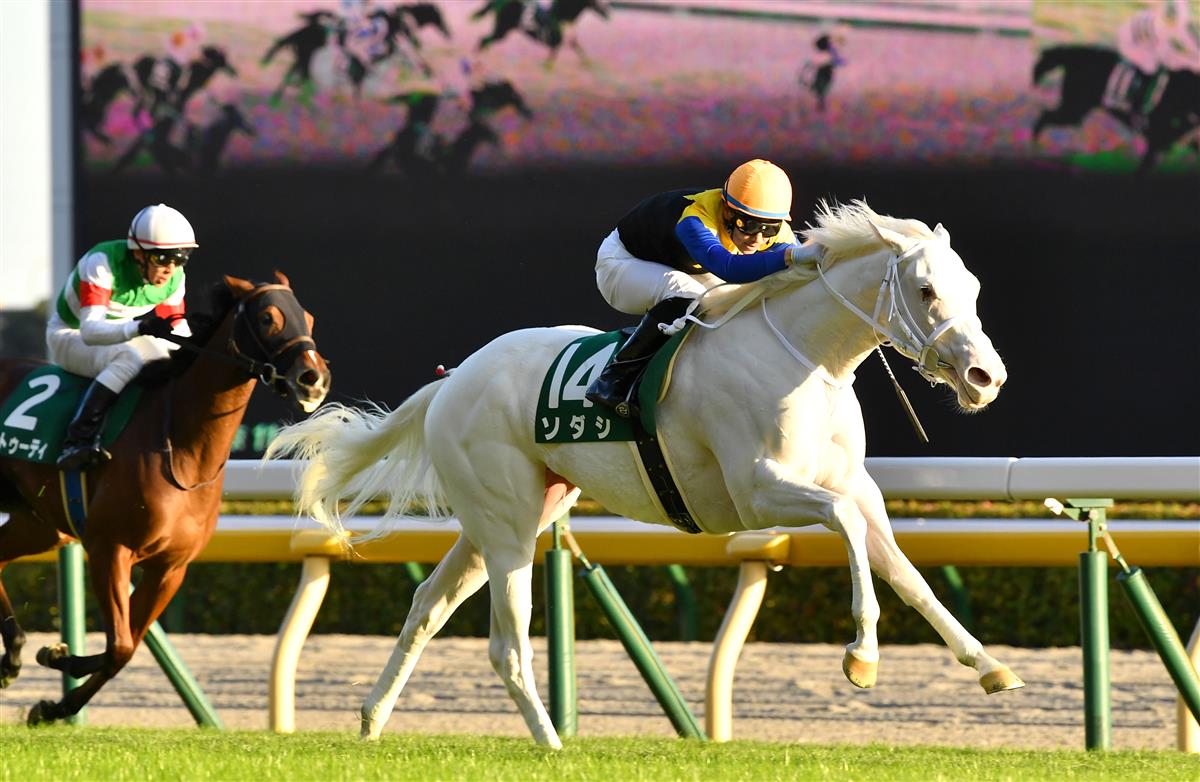 送料無料 即納 イラスト 競馬 アルテミスステークス ソダシ アート 写真 Gdr Adv Br