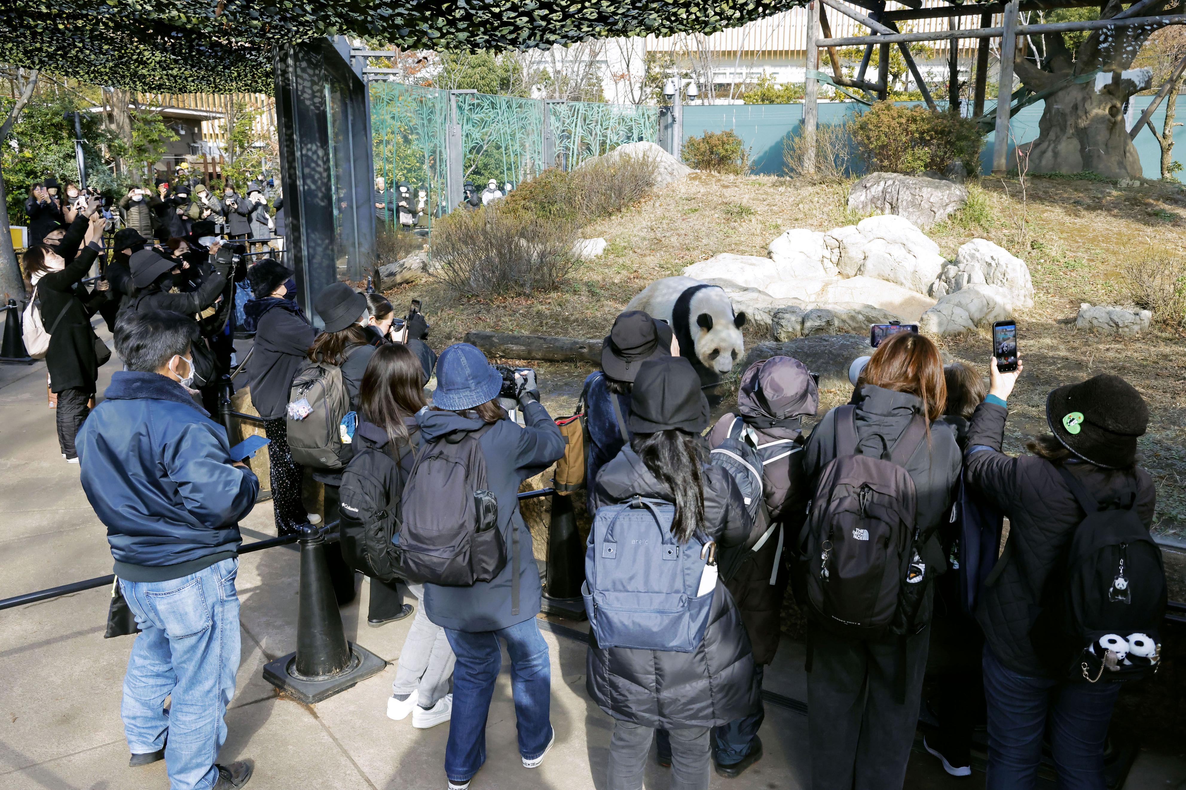 上野の双子パンダに行列 返還発表後、初の開園日 - サンスポ