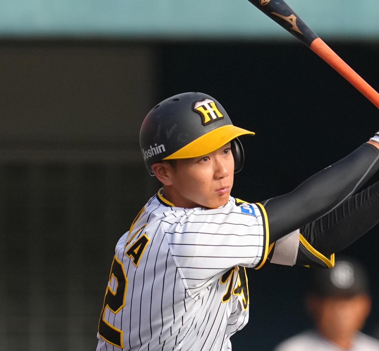 山百合11球 VGGUD33O7JJB7HLMHW5BDXWX2U.jpg