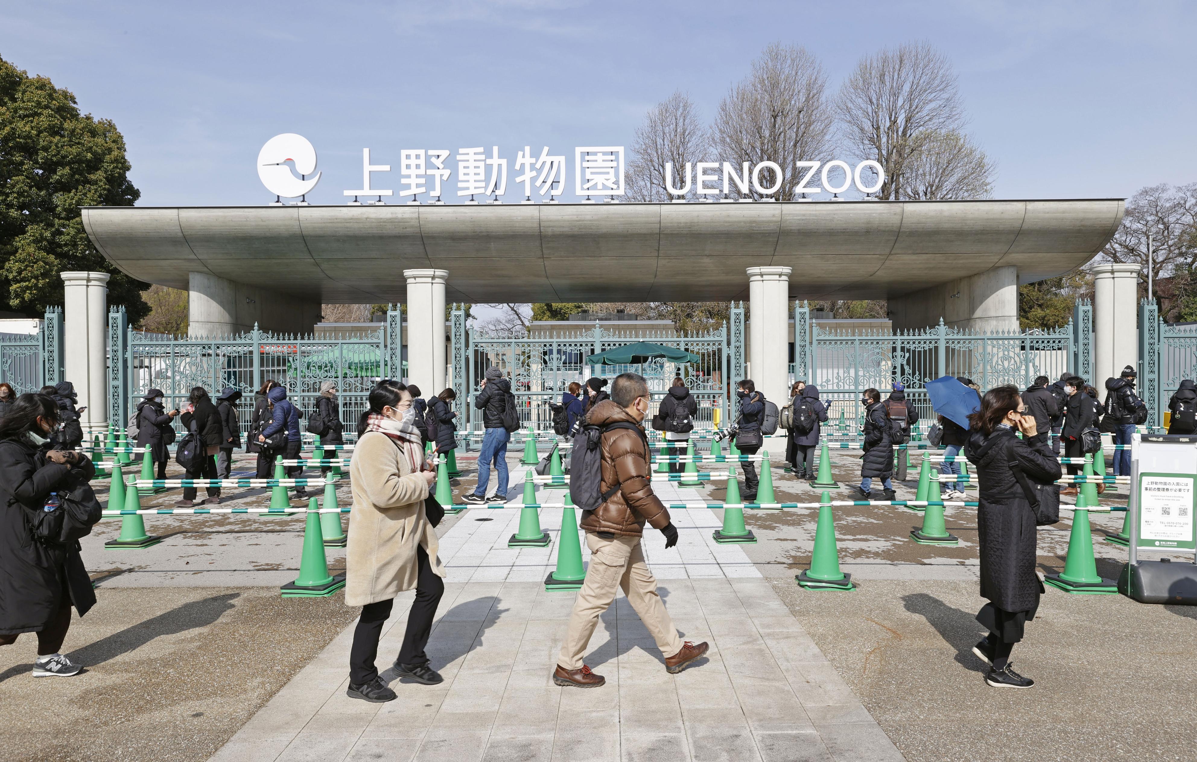 上野動物園が営業再開 双子パンダ公開は２５日から 産経ニュース