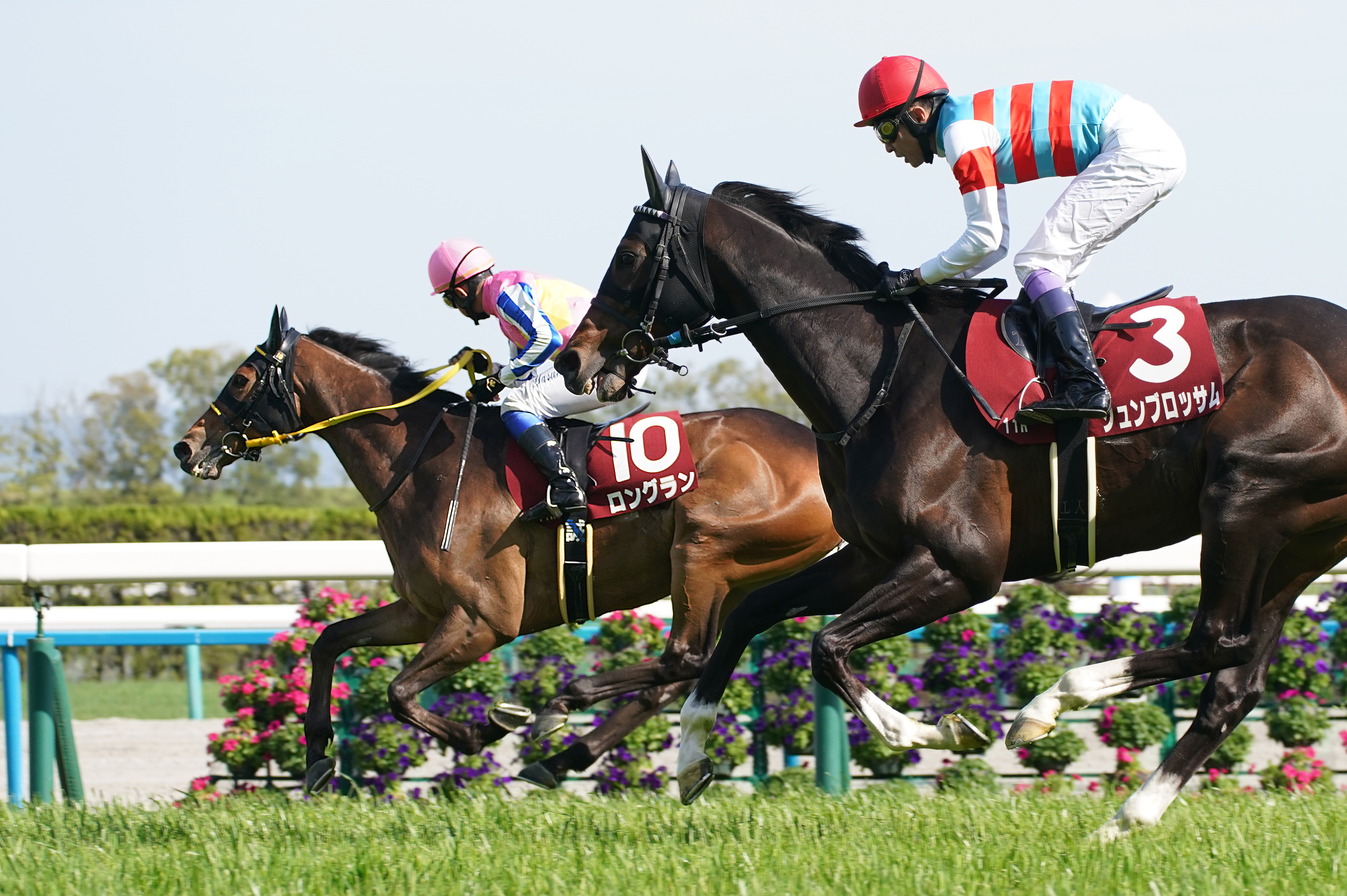 競走馬 マイラーズC】レースを終えて…関係者談話 - サンスポZBAT!