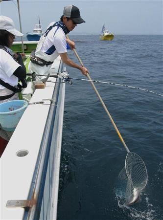 当たり年だ 腹パン３０センチ級狙え 剣崎沖 イサキ真っ盛り 1 3ページ サンスポ