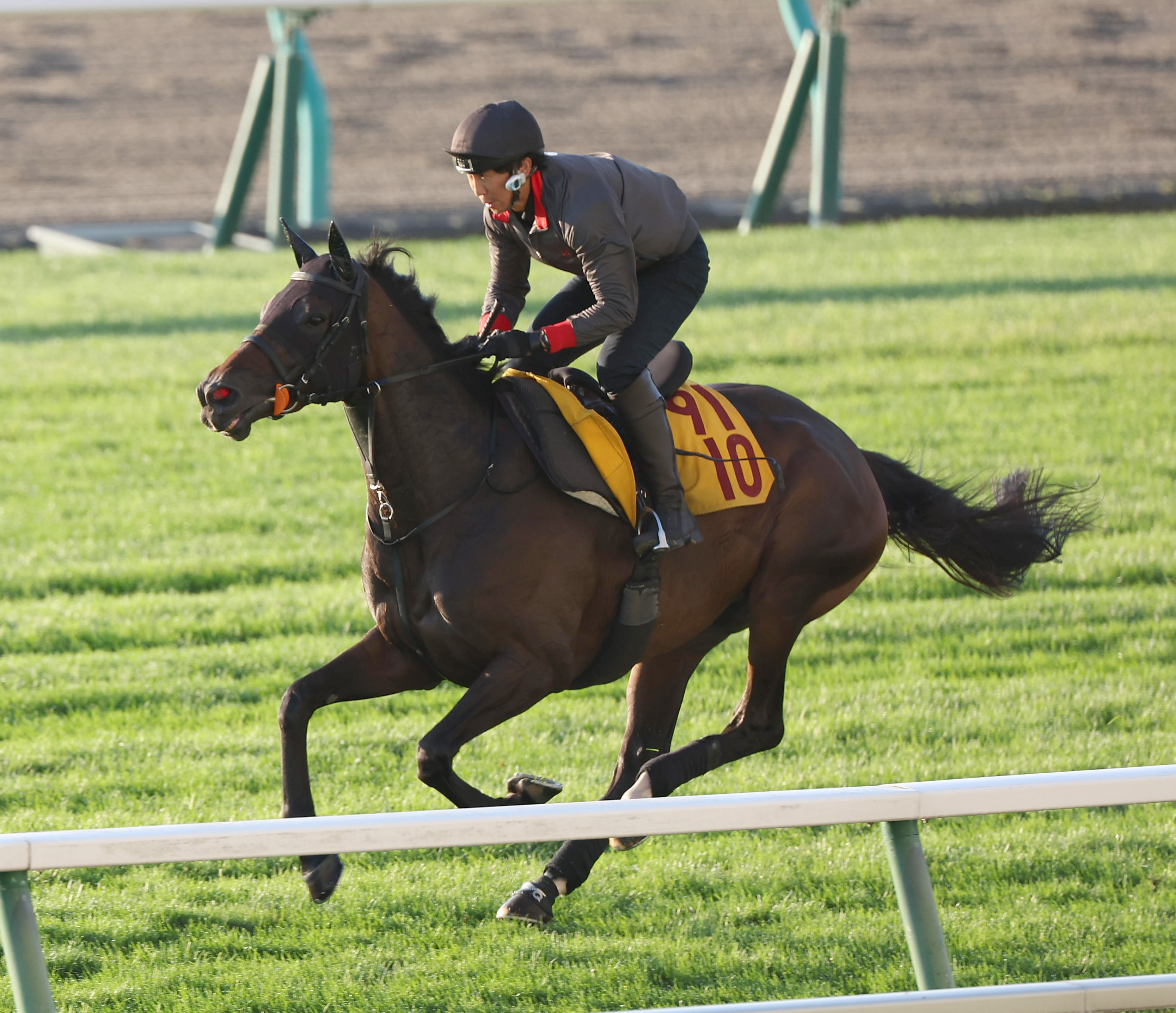 【かんたん箙】スポーツ流鏑馬をやっている方にオススメ！武具 流鏑馬- 維基百科，自由的百科全書