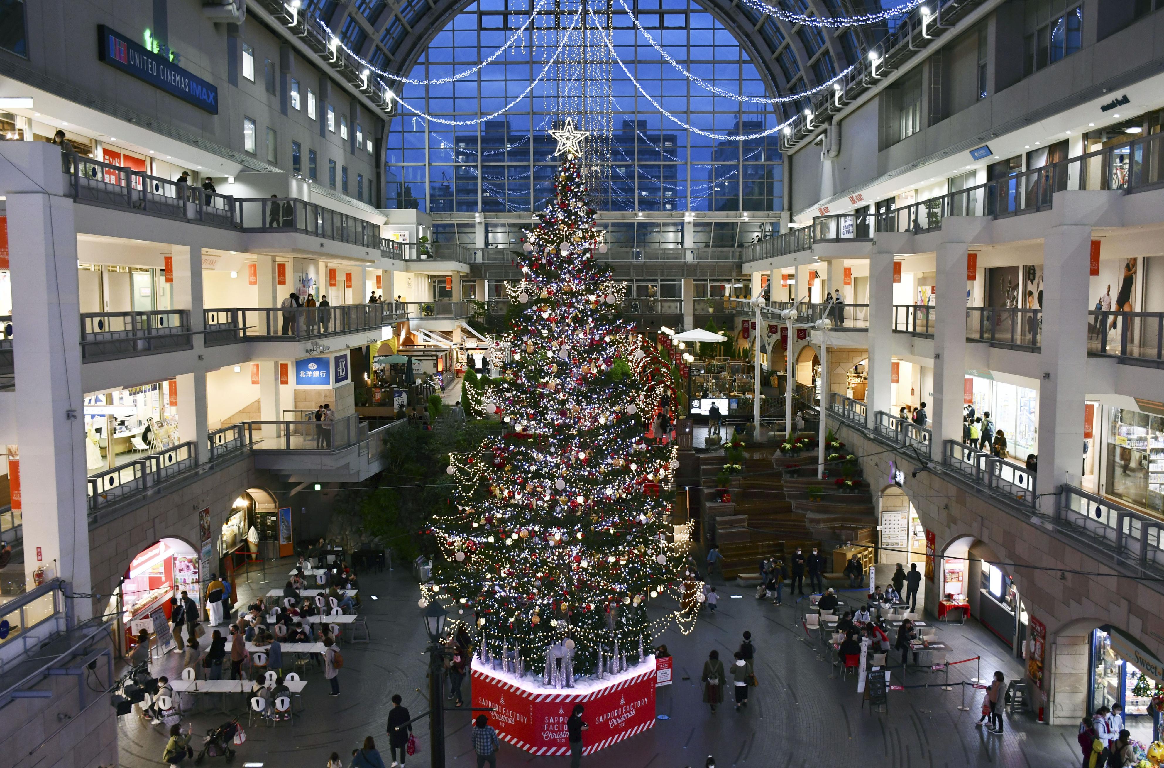一足早いクリスマスムード 札幌で巨大ツリー点灯 産経ニュース