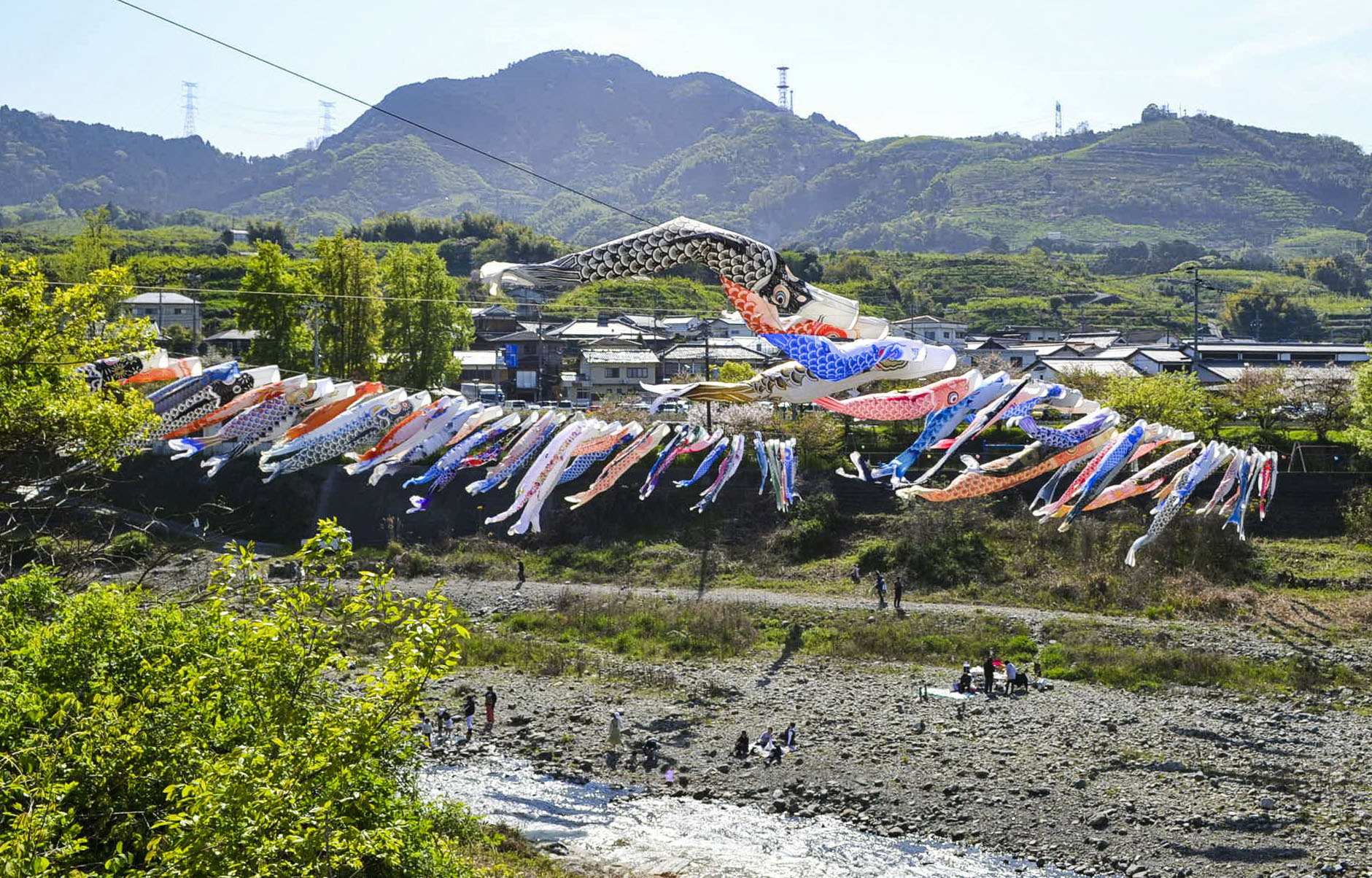 こいのぼり百匹春風に泳ぐ 和歌山・九度山の丹生川 - 産経ニュース