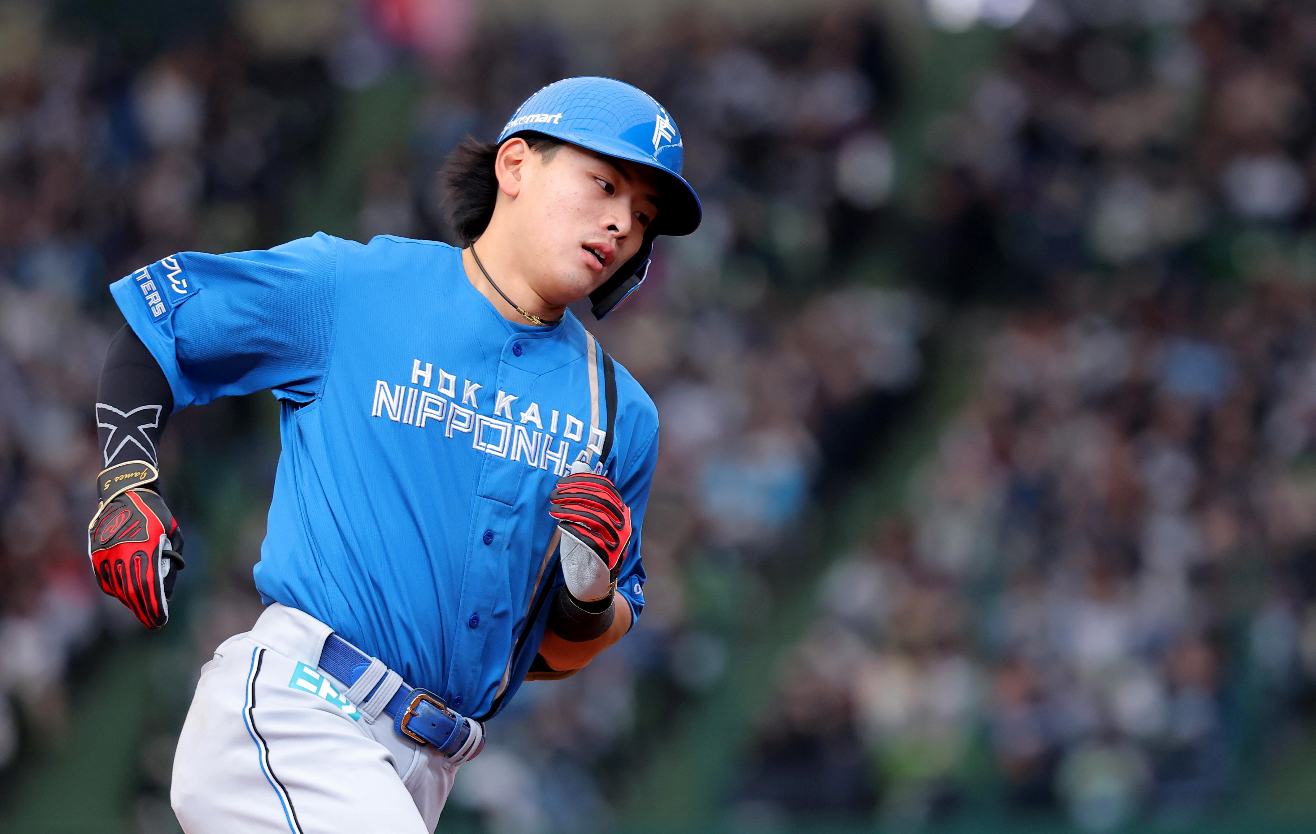 2023 EPOCH ONE エポックワン 日本ハム 野村佑希 45枚限定 2023 EPOCH ONE エポックワン 日本ハム 野村佑希 45枚限定 2023 EPOCH