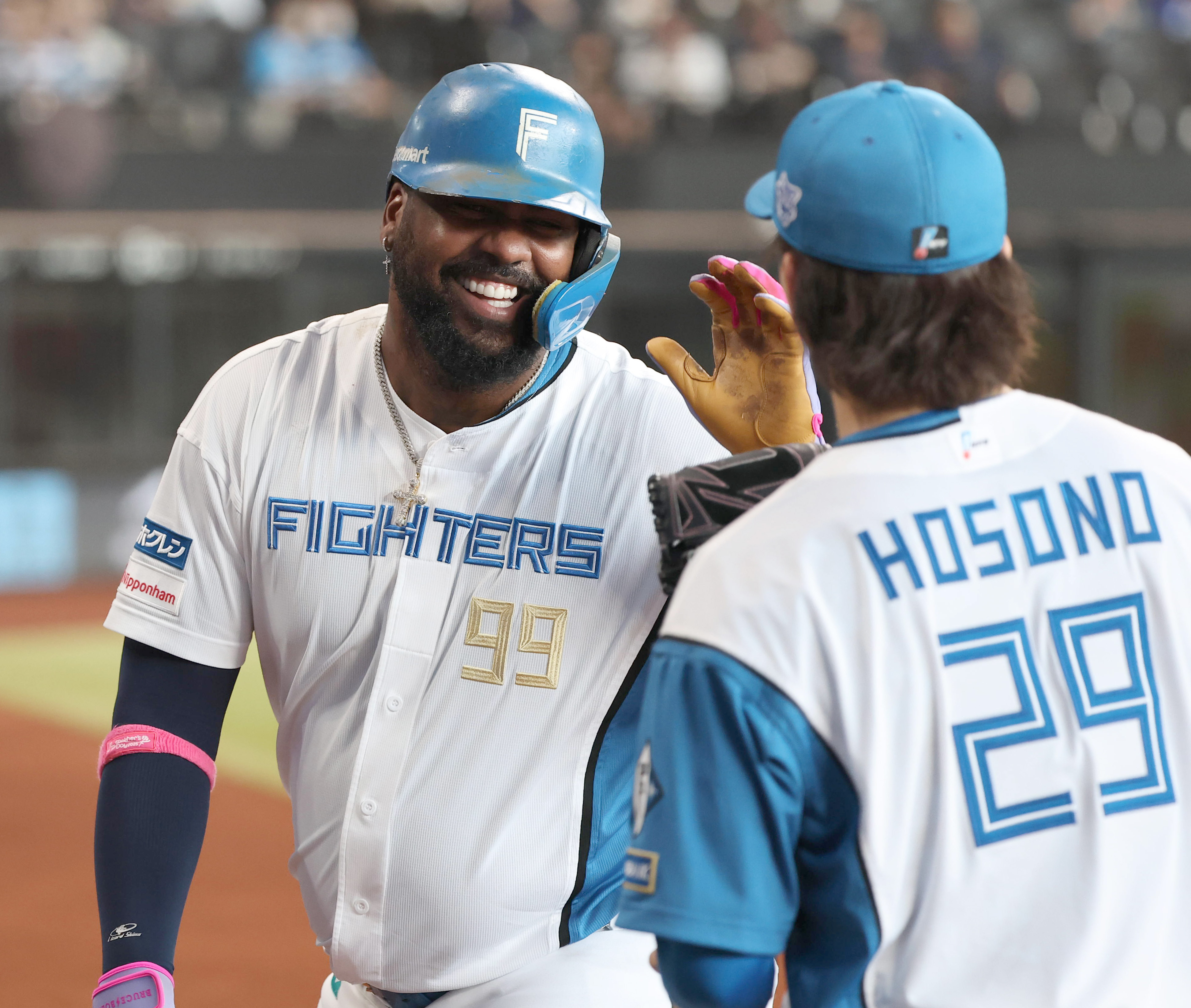 日本ハム FIGHTERS ユニフォーム レイエス選手 やりましたー