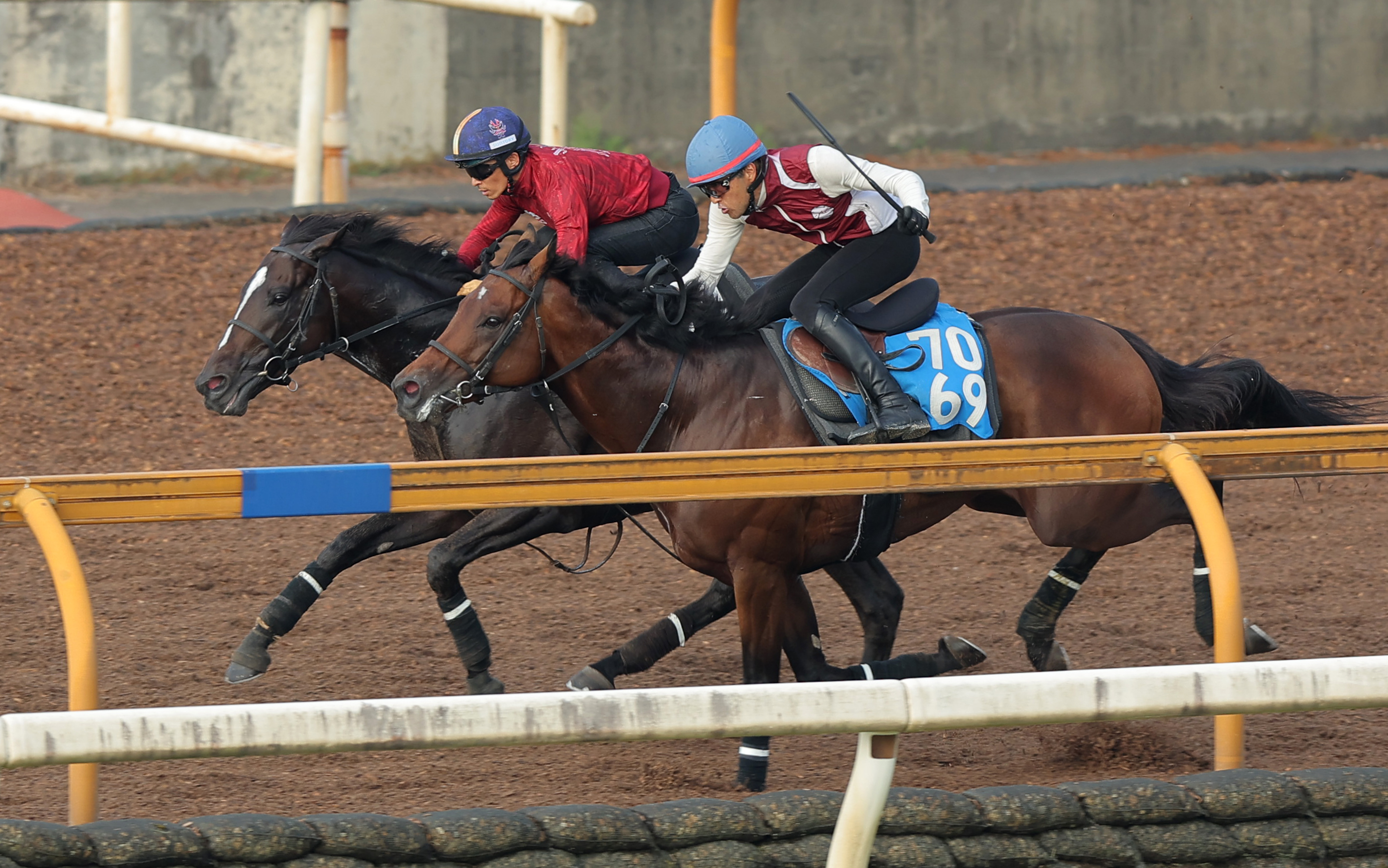 JRA 競馬 レプリカ 勝負服 アサクサキングス 四位騎手 新品未使用 菊花賞 2007年 菊花賞（JpnI） | アサクサキングス | JRA公式 - YouTube